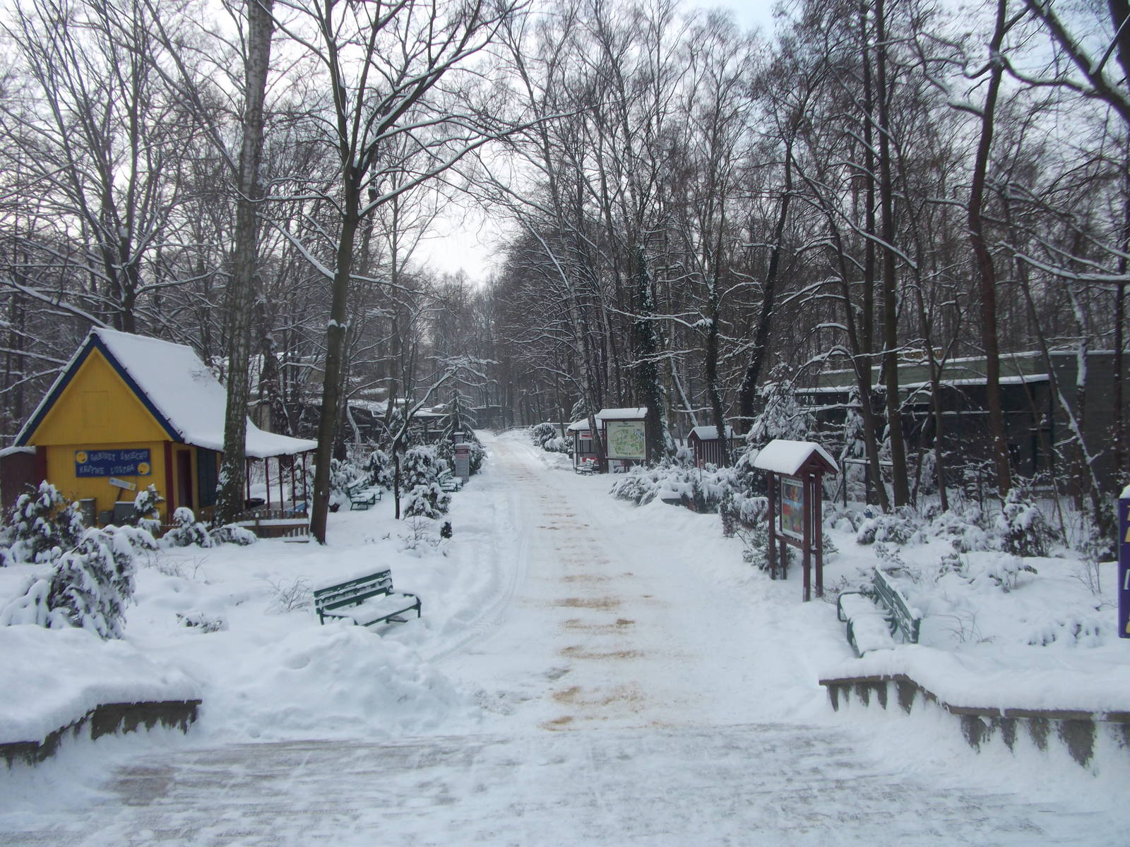 General view from entrance