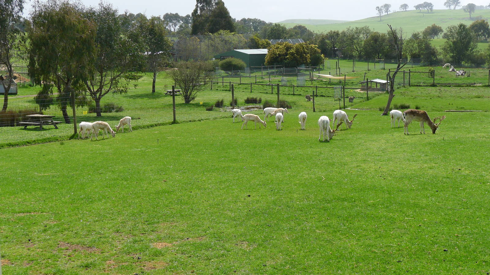 general view from the entrance