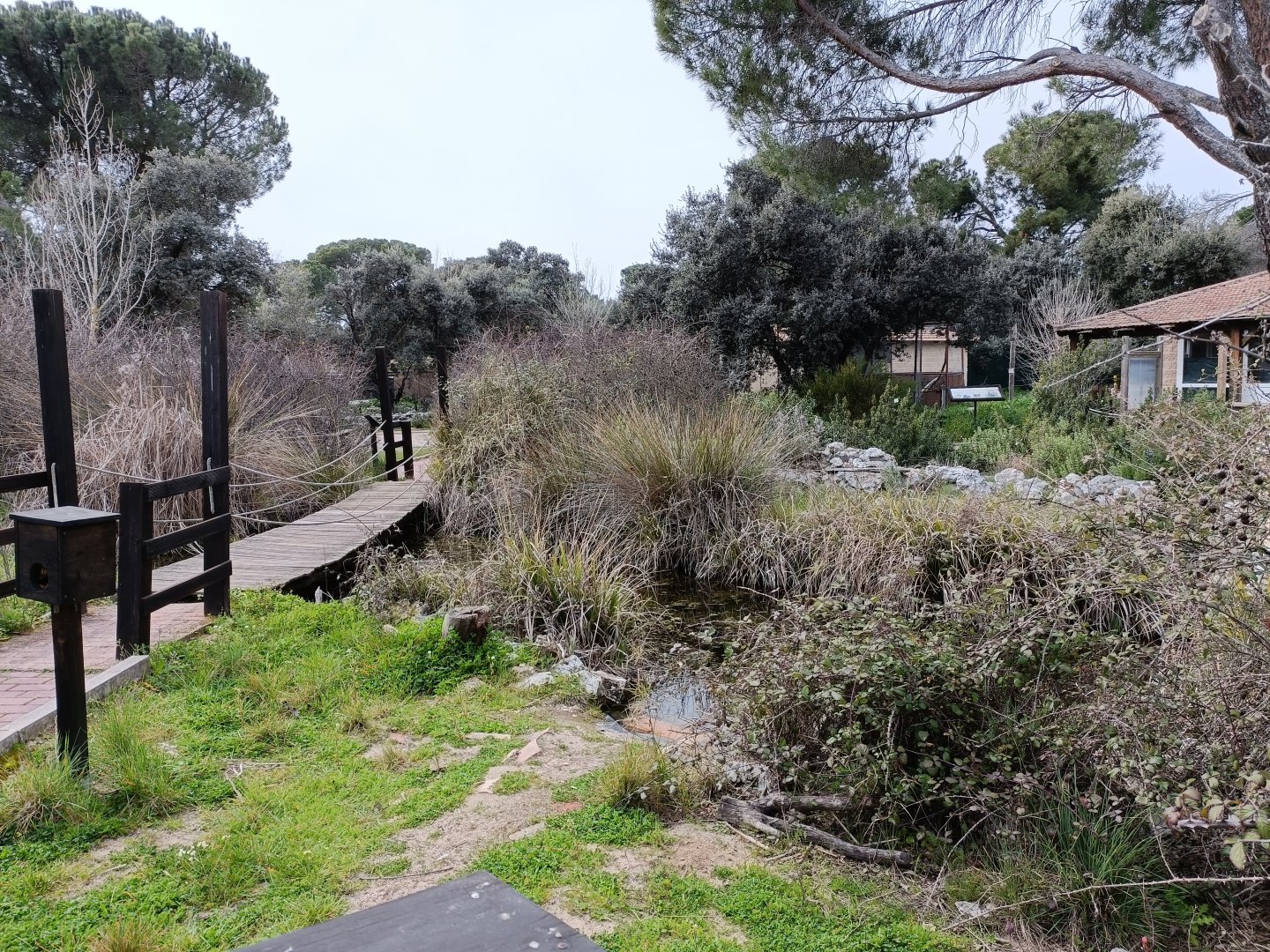 General view - GREFA