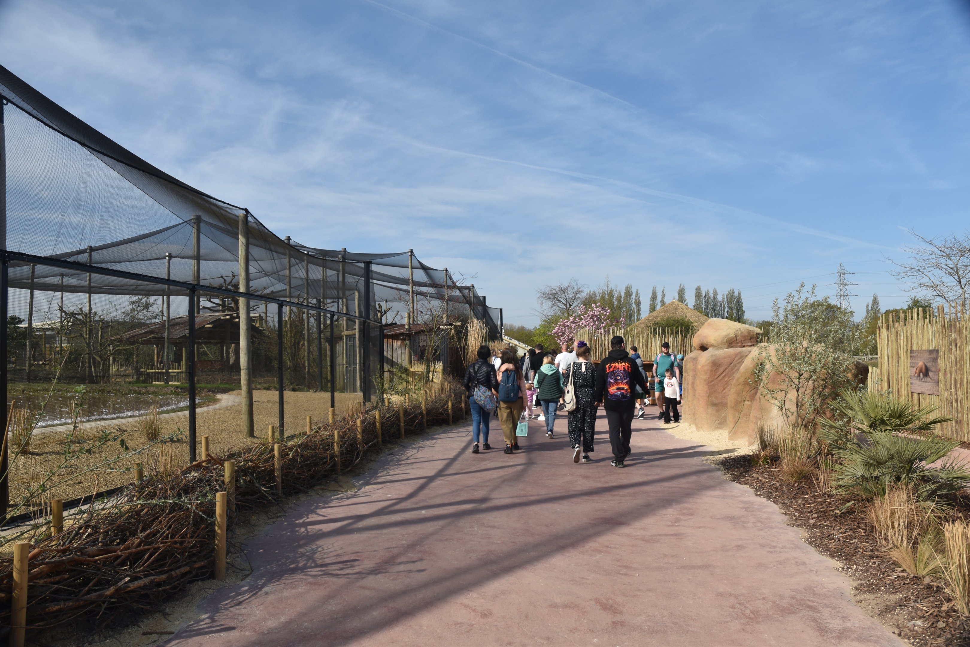 General View Heart of Africa at Chester, 12th April 2025
