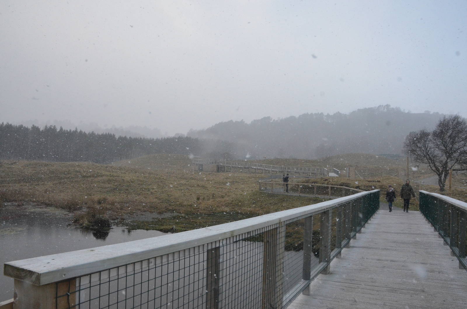 General View in a Snow Shower at Highland WP, 10/02/16