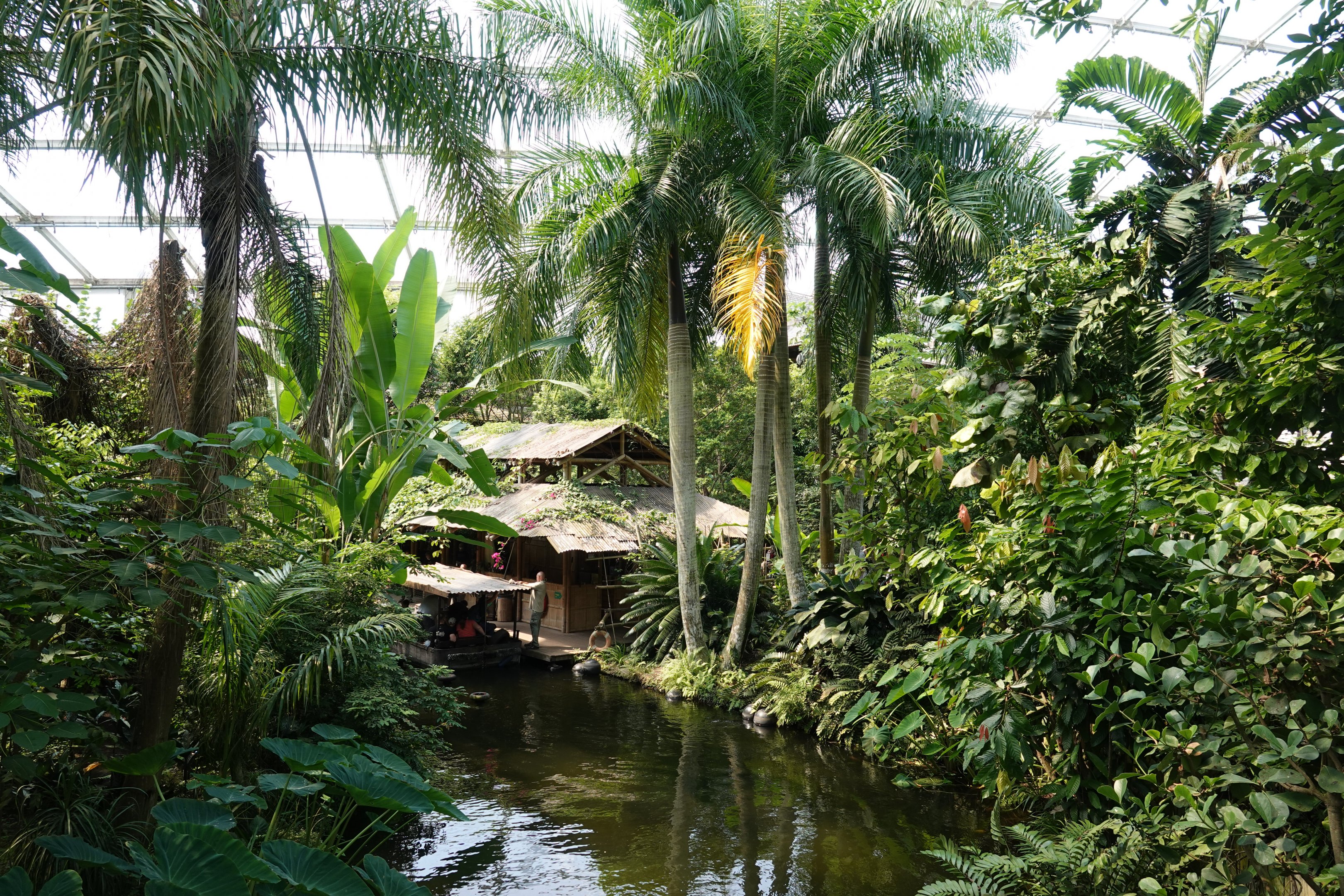 General view in Godwanaland