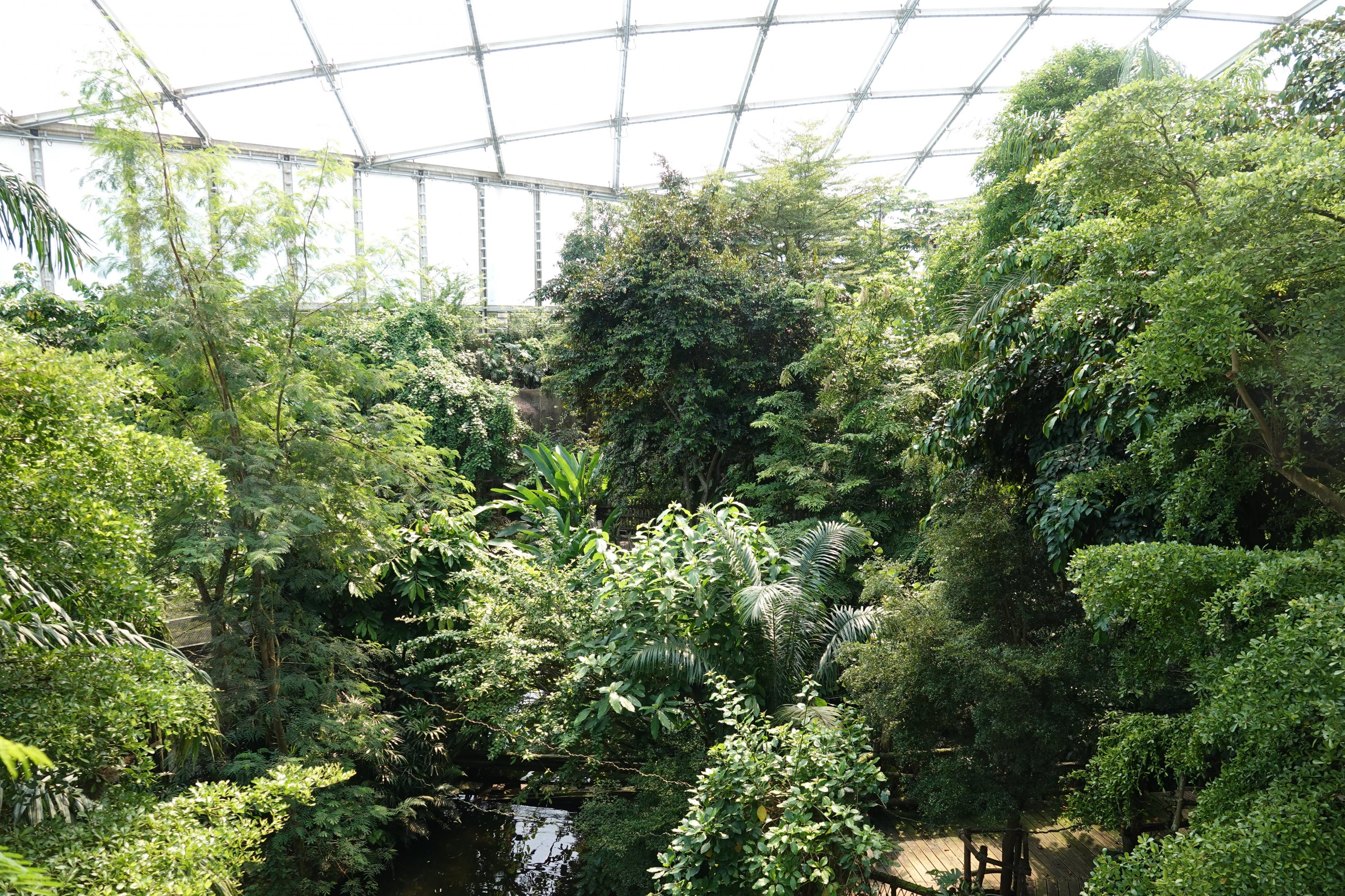 General view in Godwanaland