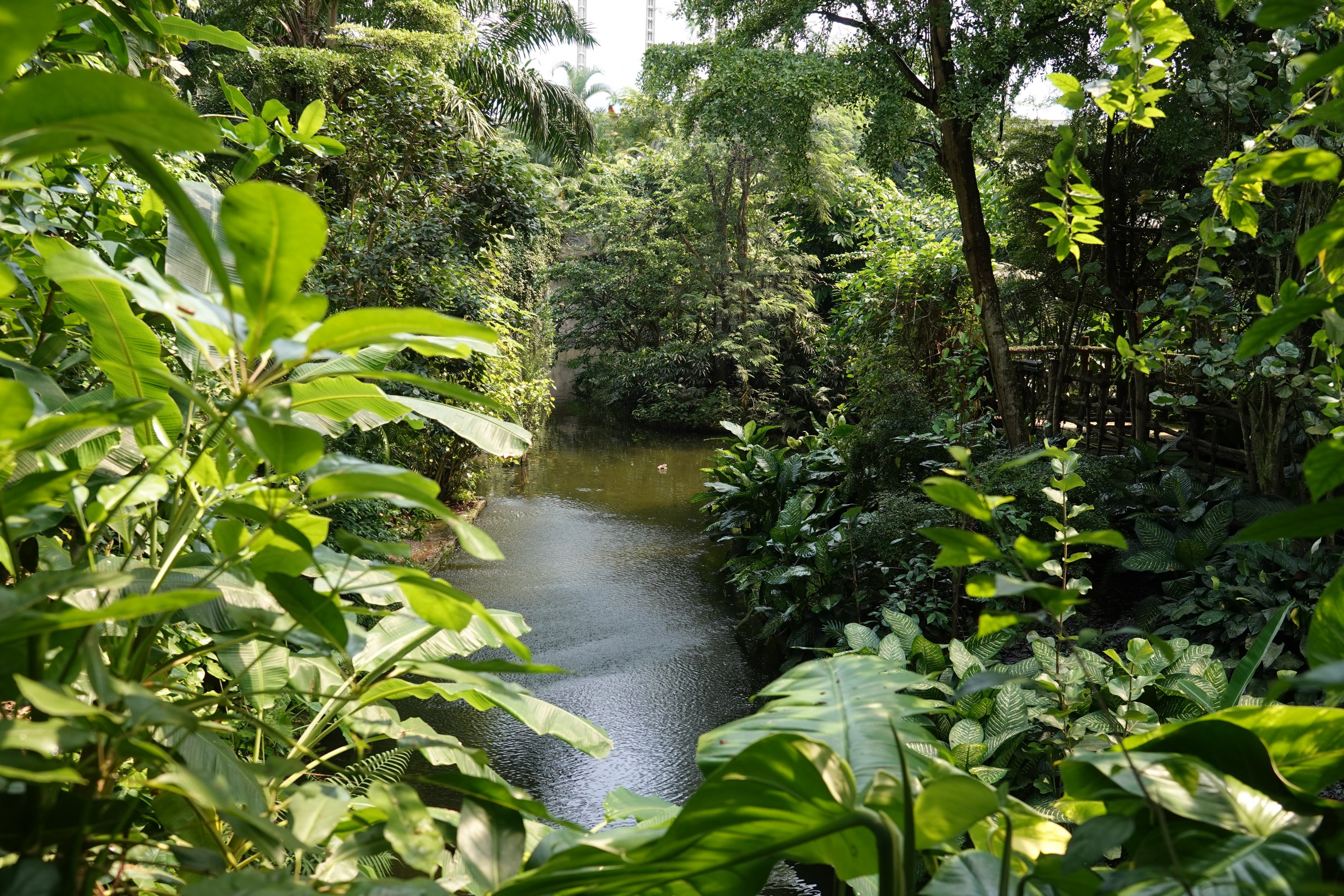 General view in Godwanaland