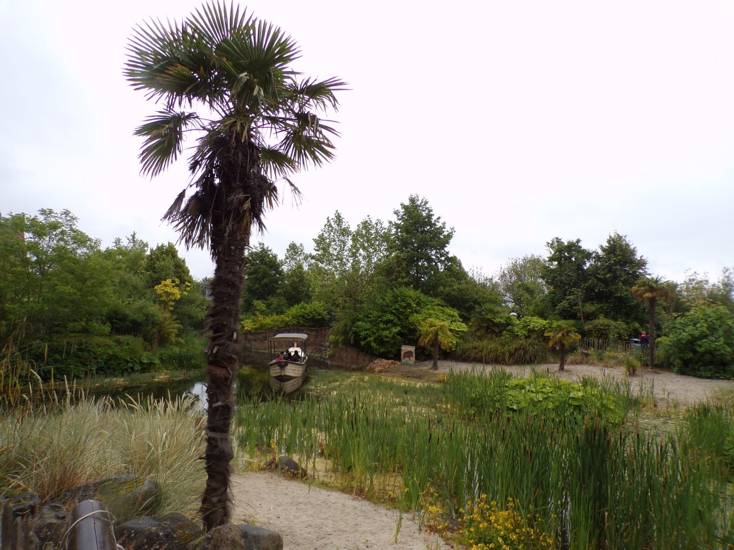 General view in Islands  29.6.24