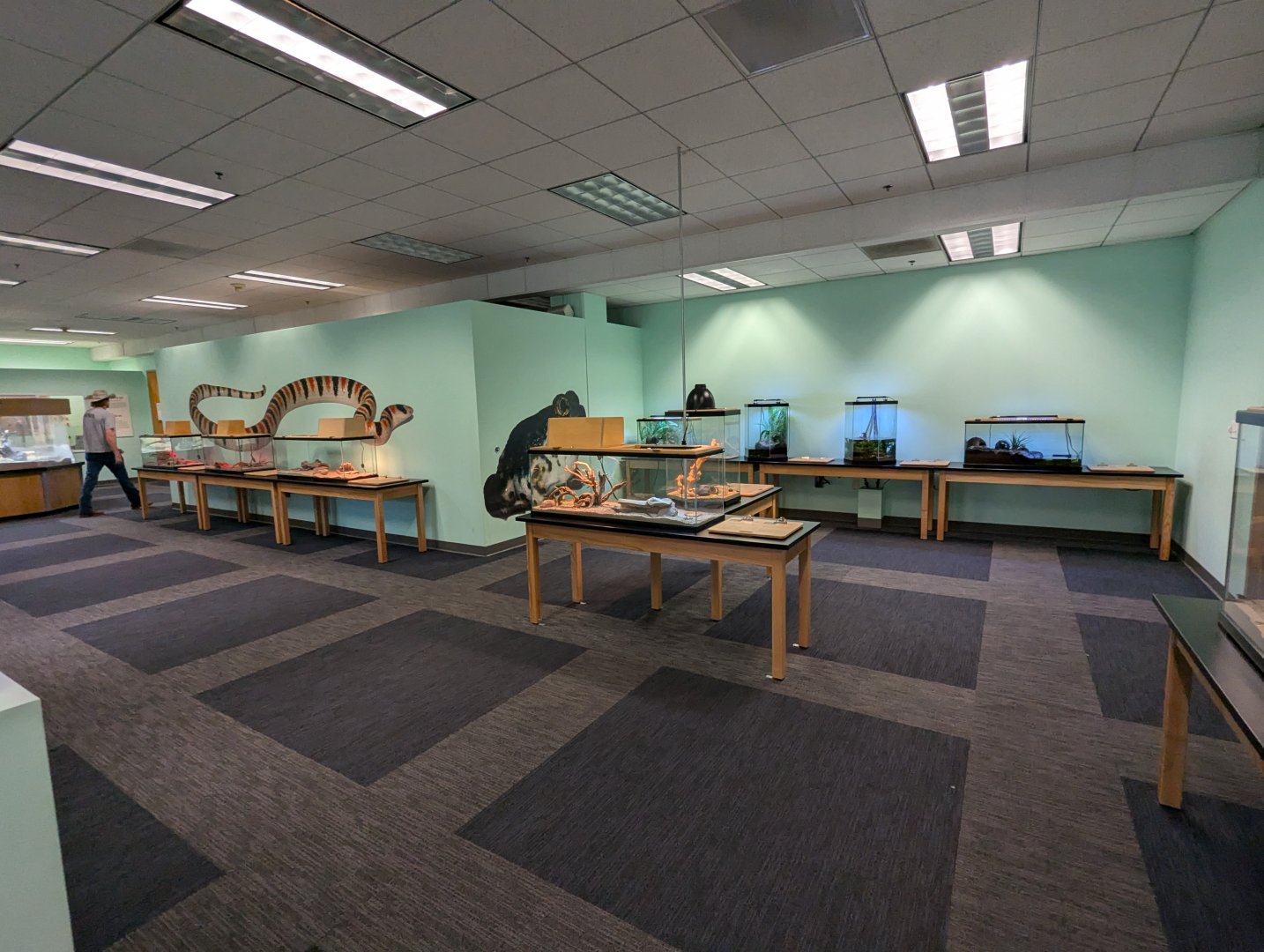 General View in Live Animal Lab