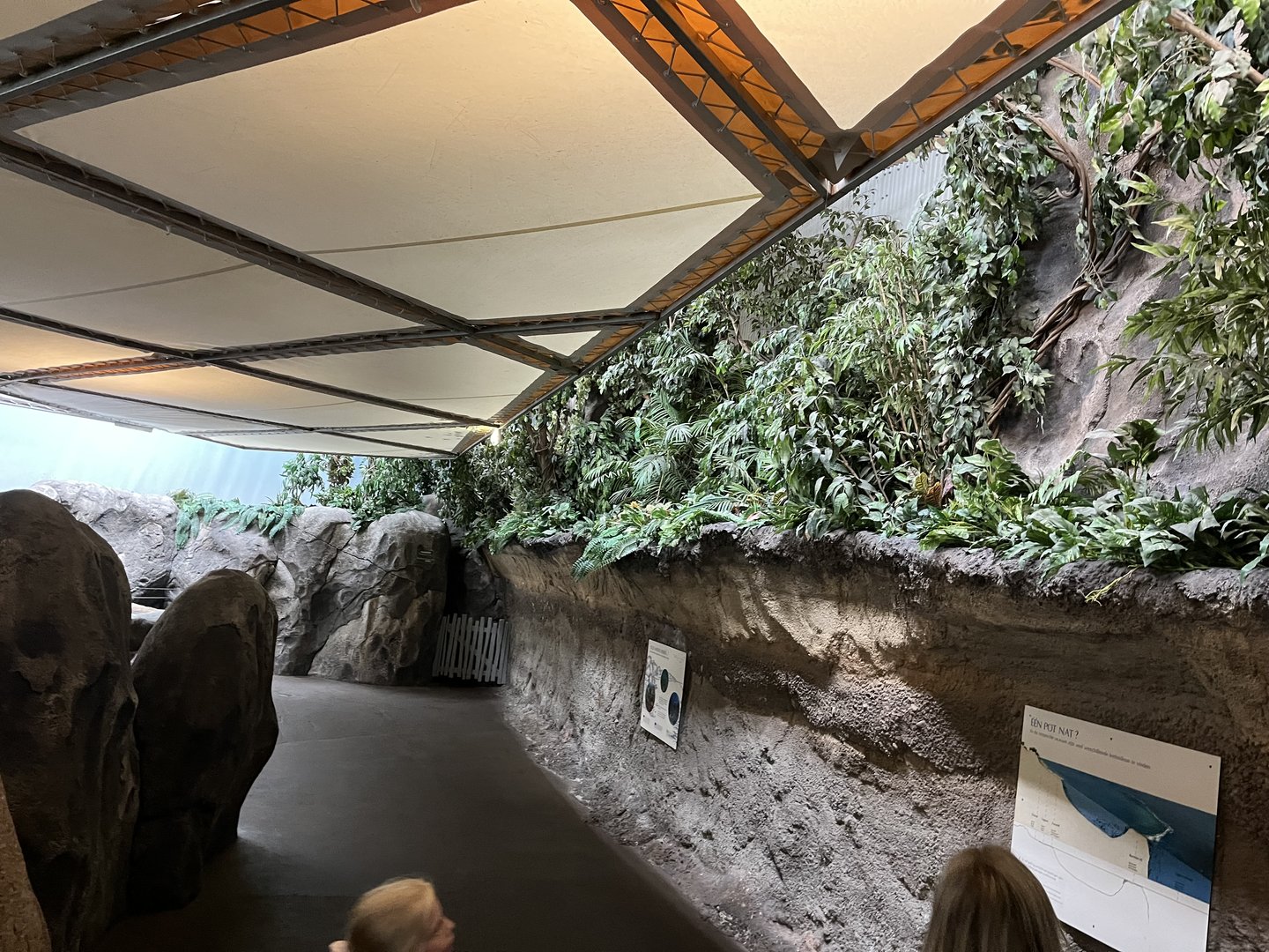 General view in Ocean 6.7.23