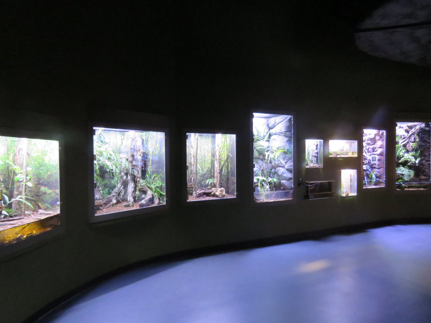 General View in rainforest floor Zone