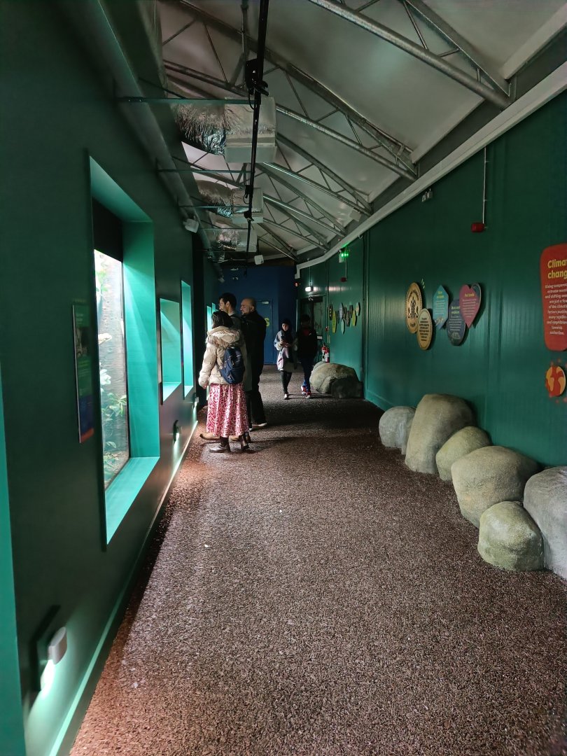 General view in SLoRA (new Reptile House)