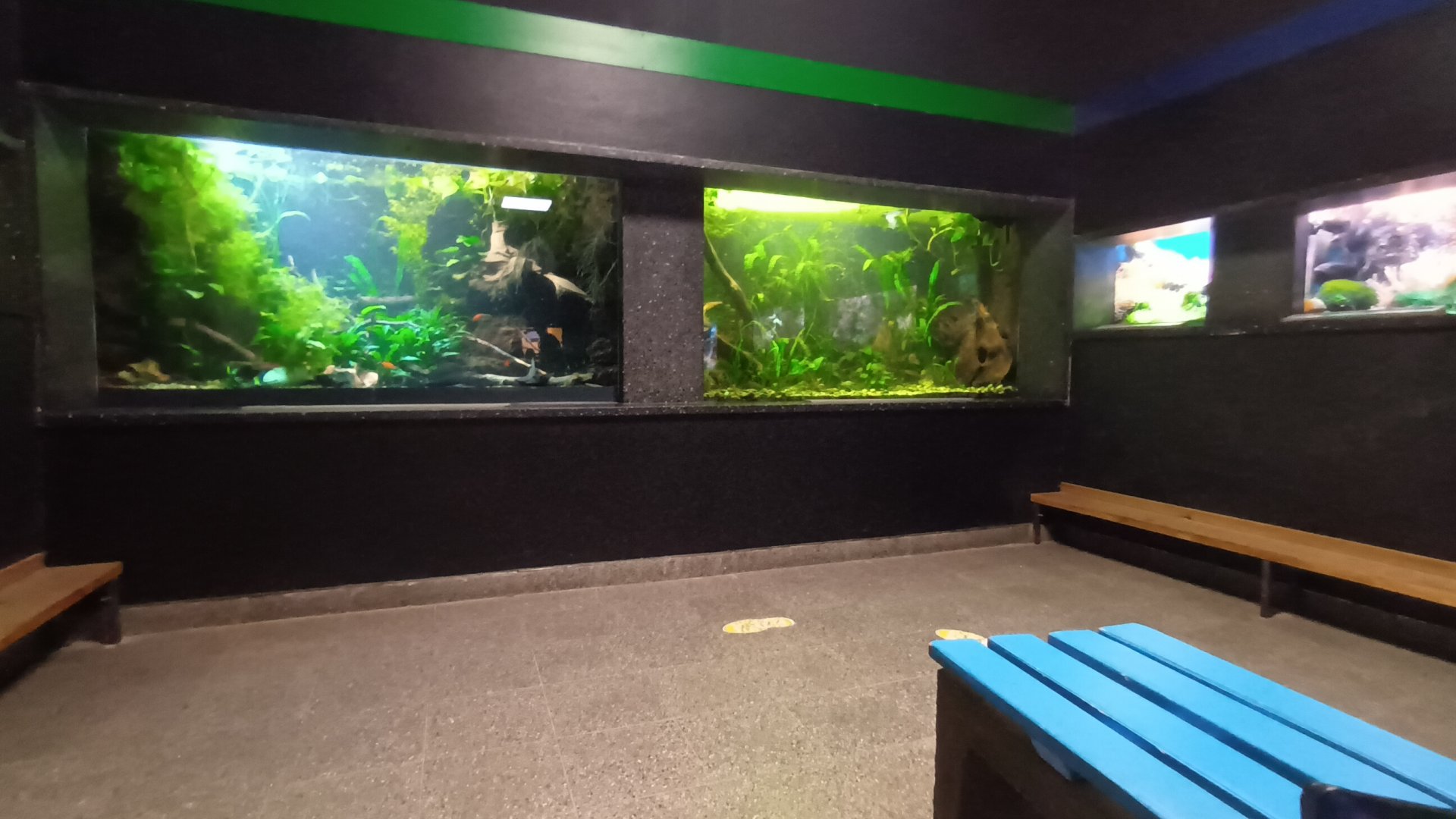 General View in the Aquarium/Terrarium House