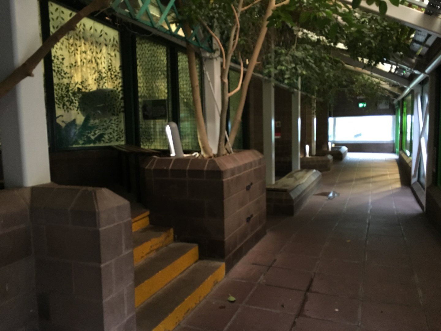 General View in the Gorilla house