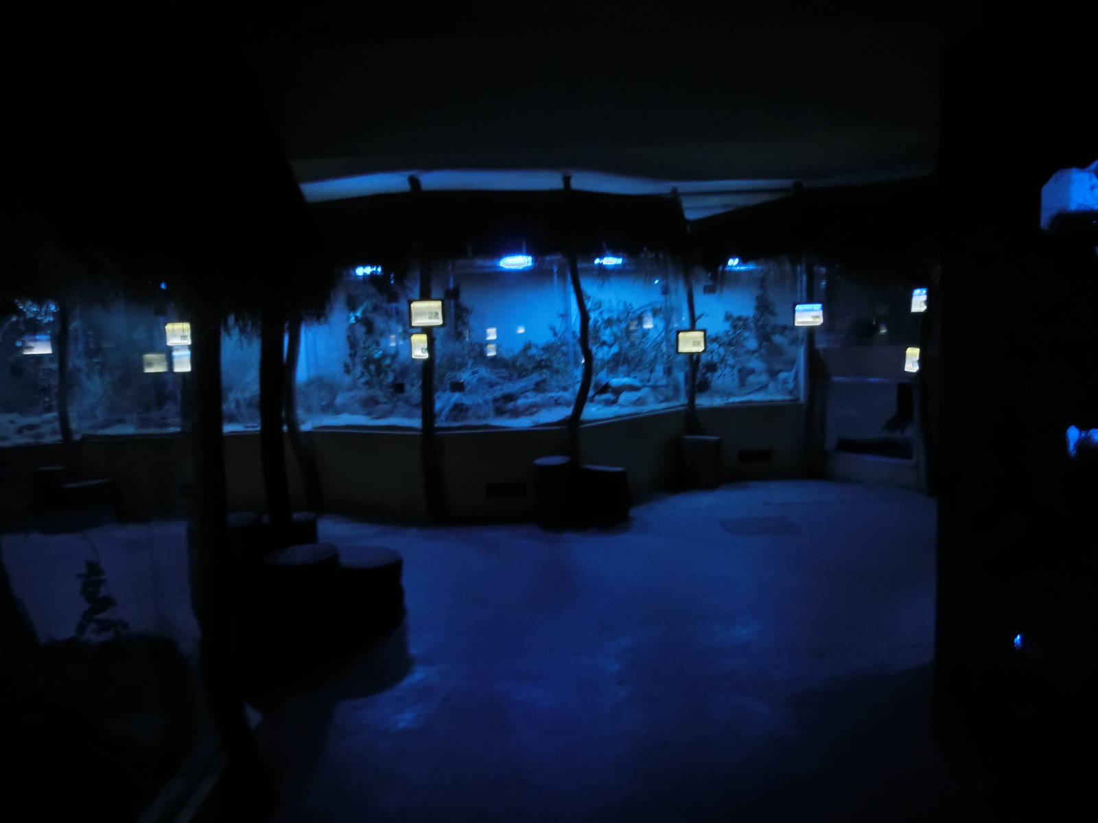 general view in the nocturnal house - Zoo Plzen