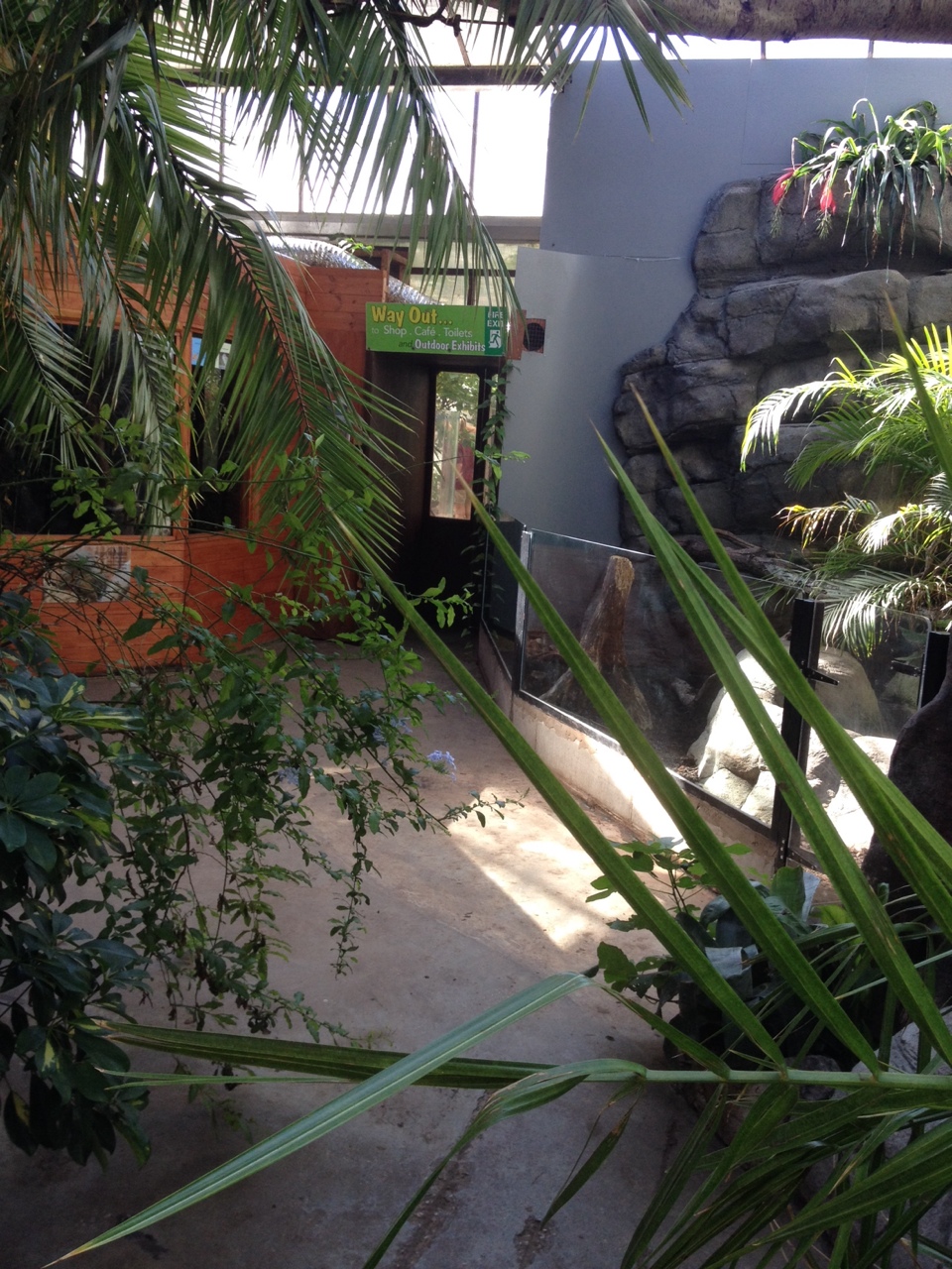 General View in the Tropical Hall