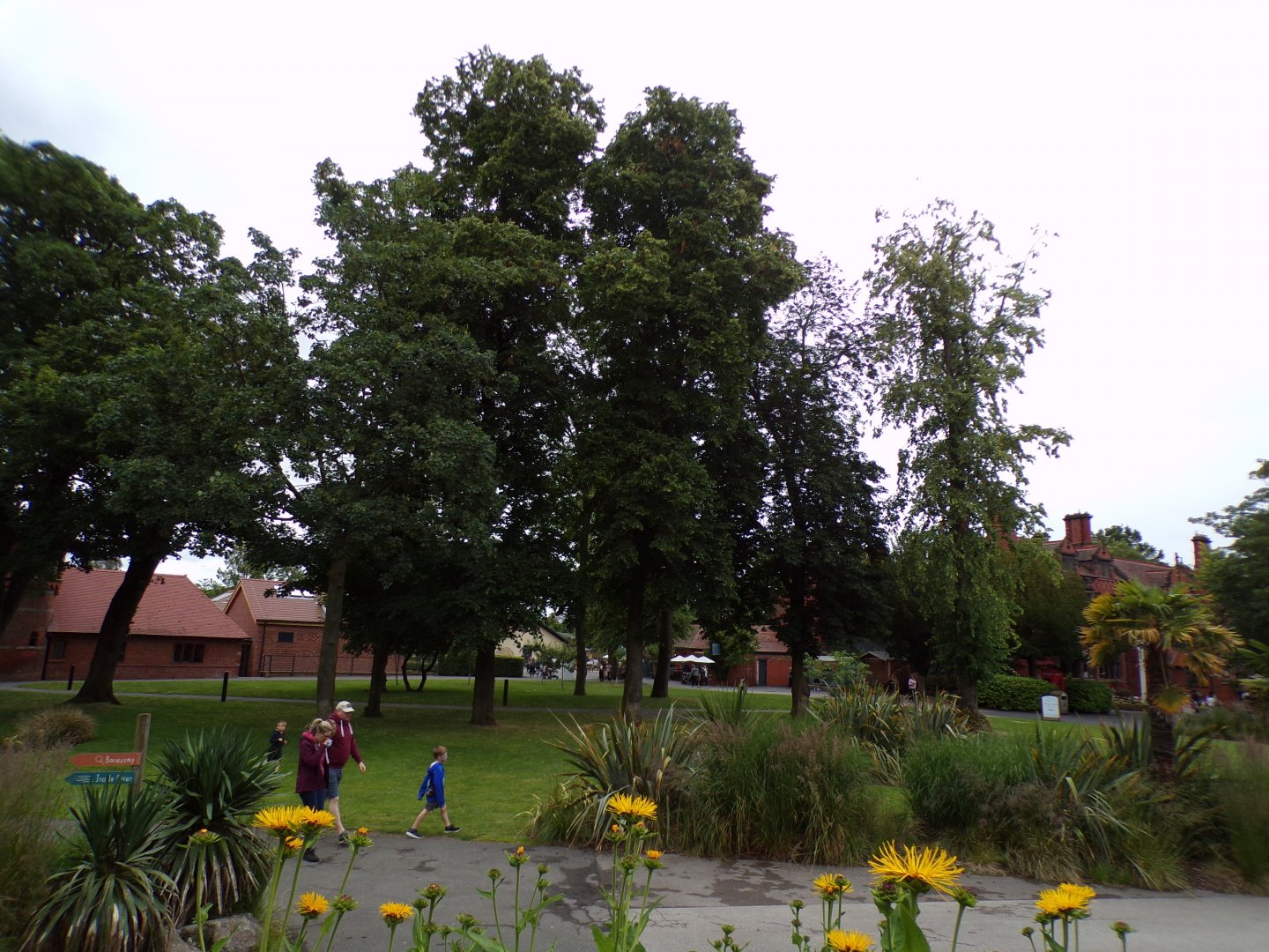 General view in the zoo 29.6.24