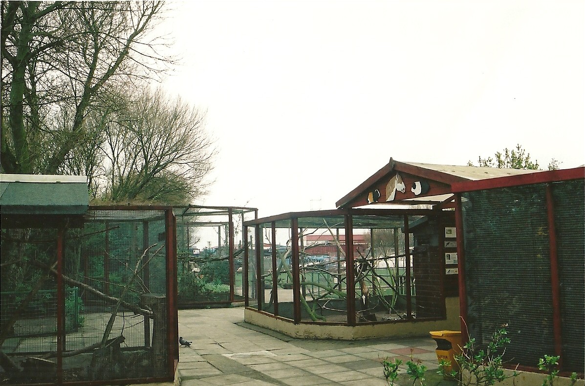 General view including aviaries and Pet Barn 16th April 2004
