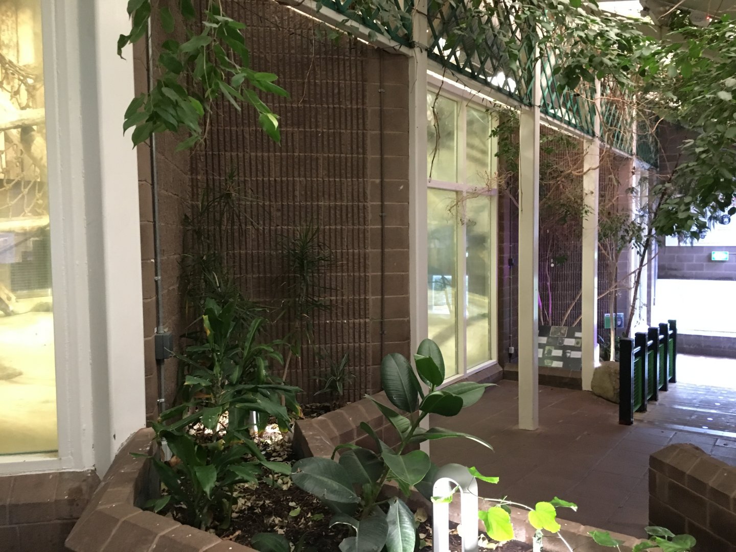 General View inside the Ape house