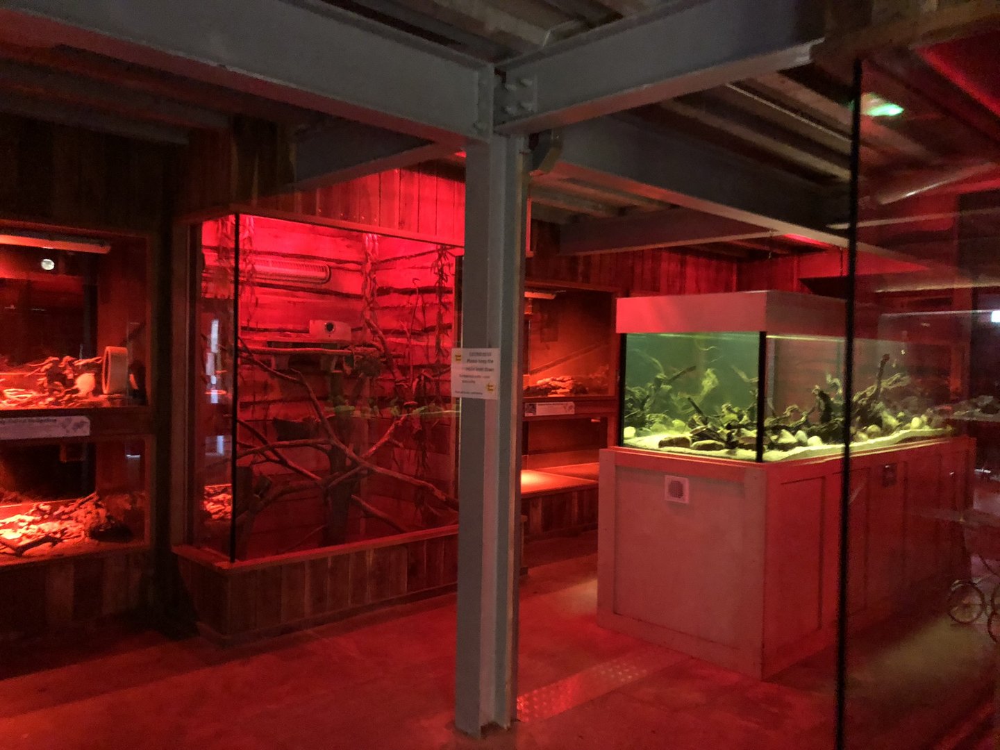 General View Inside the Mammal House at Cannon Hall Farm (September 2023)