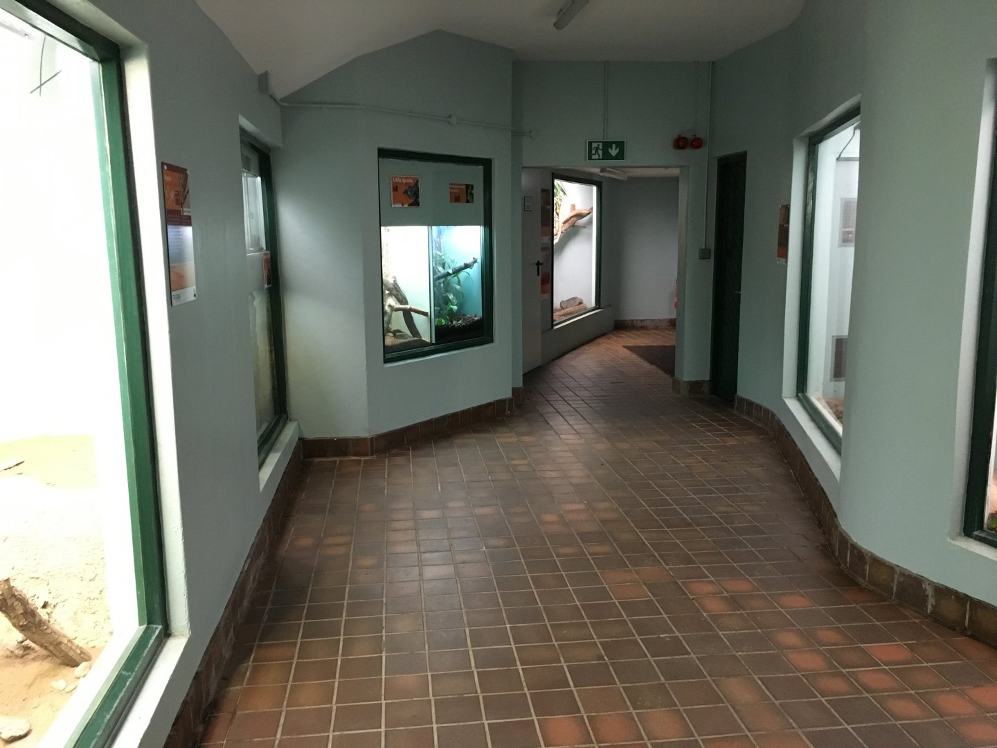 General view inside the Reptile House