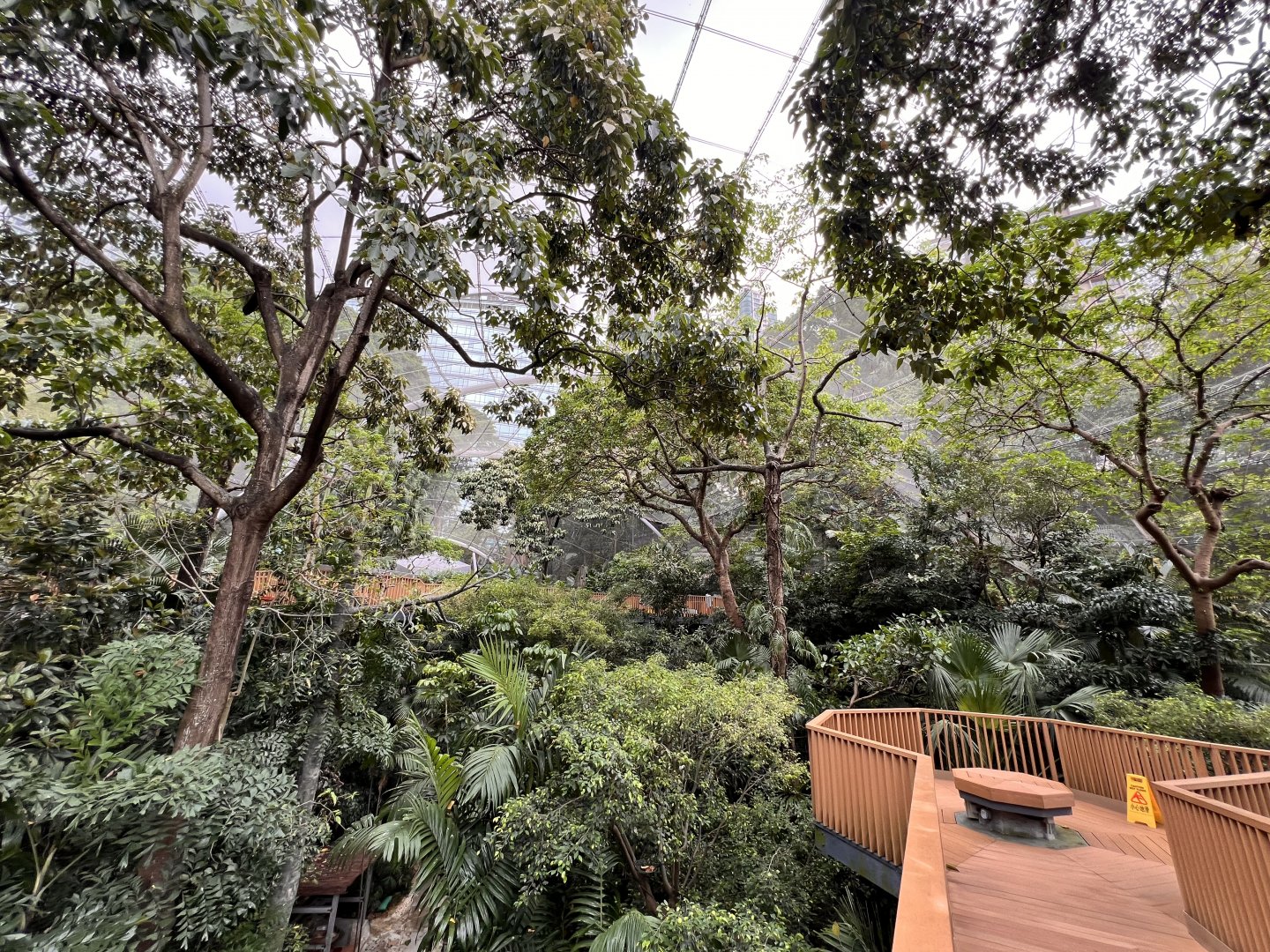 General View into the Aviary
