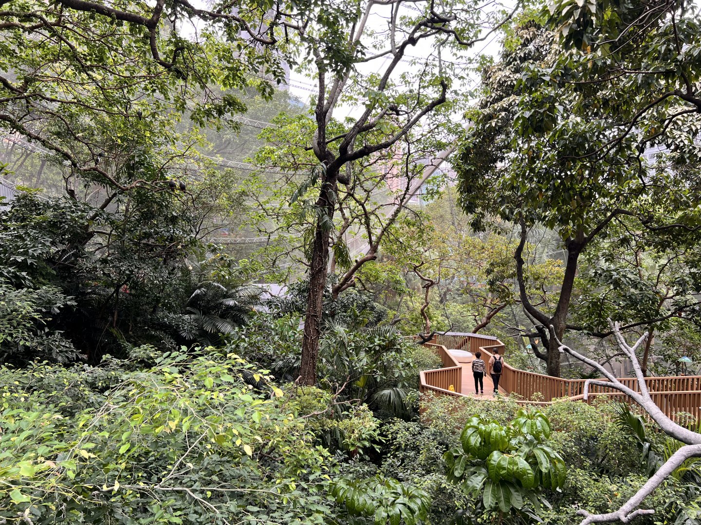 General View into the Aviary