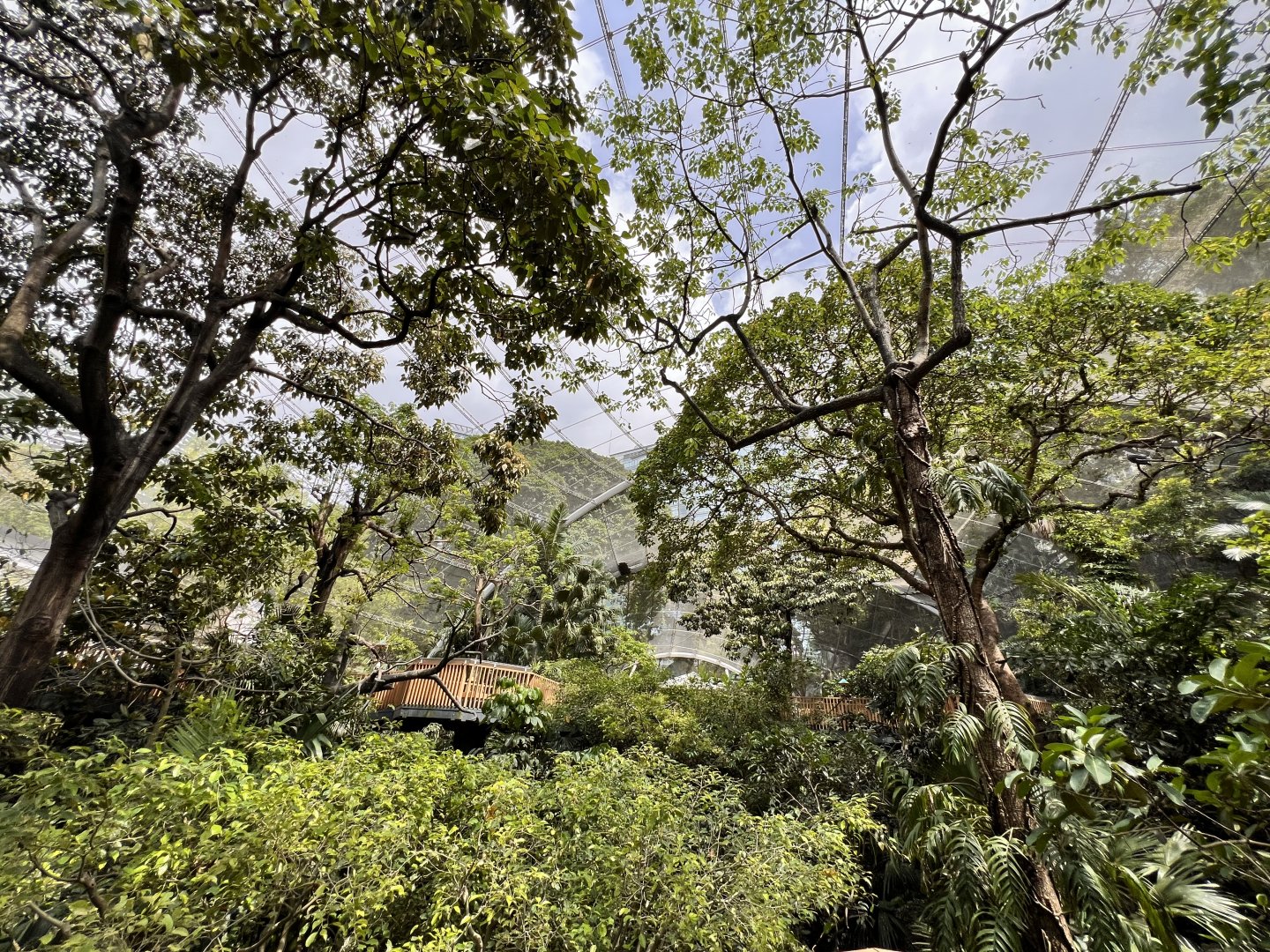 General View into the Aviary