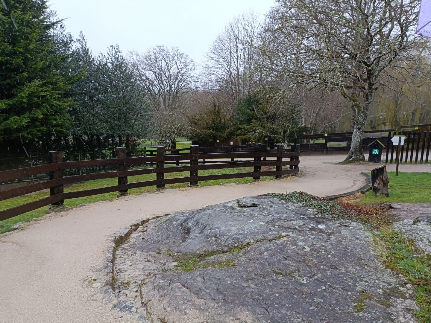 General view -Marcelle Naturaleza