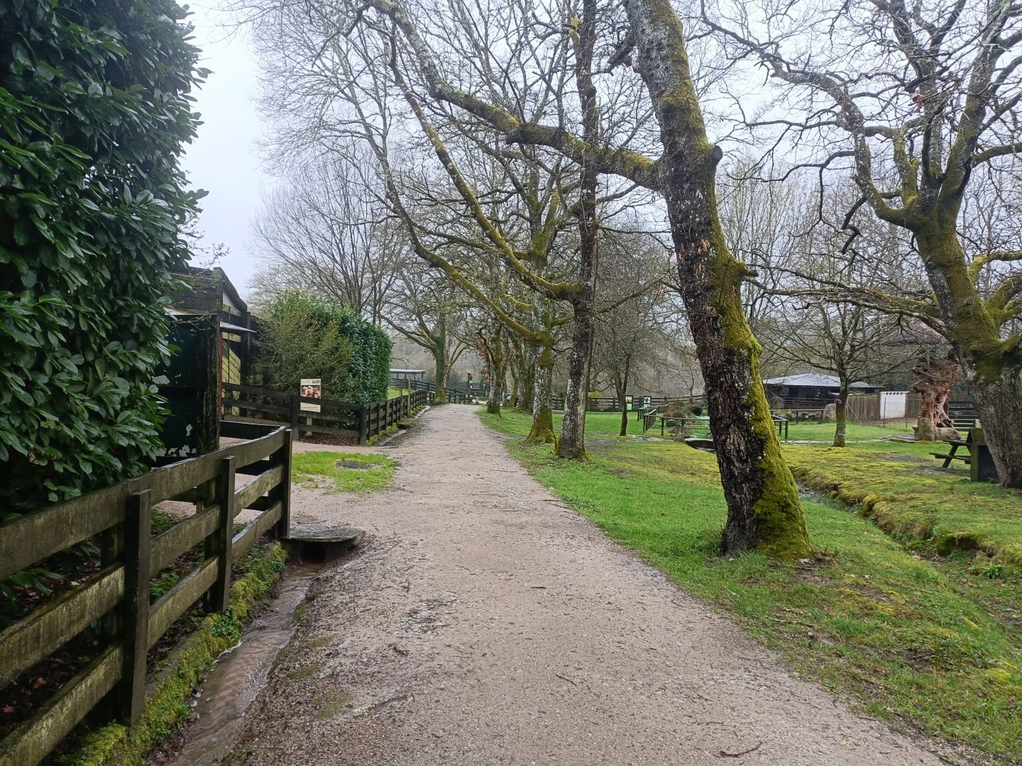 General view -Marcelle Naturaleza