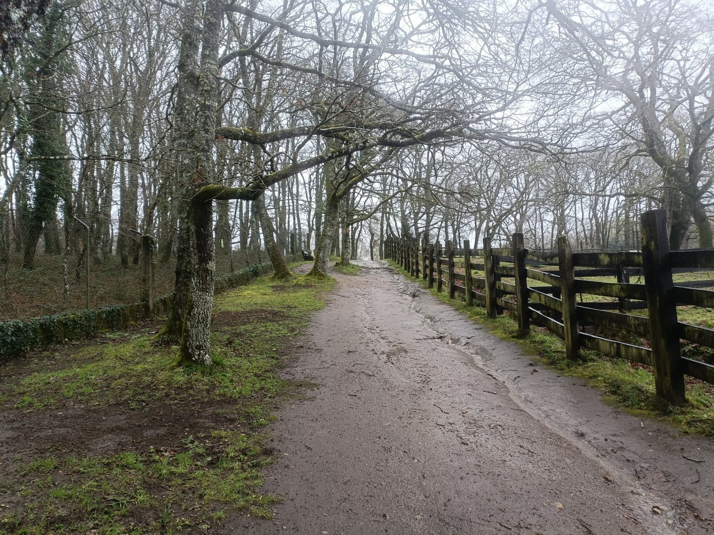 General view -Marcelle Naturaleza