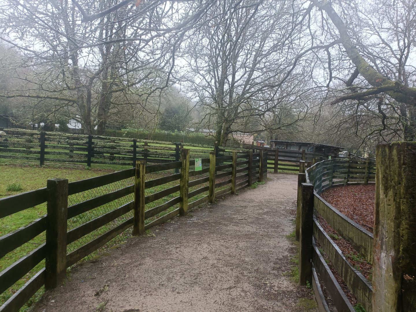 General view -Marcelle Naturaleza