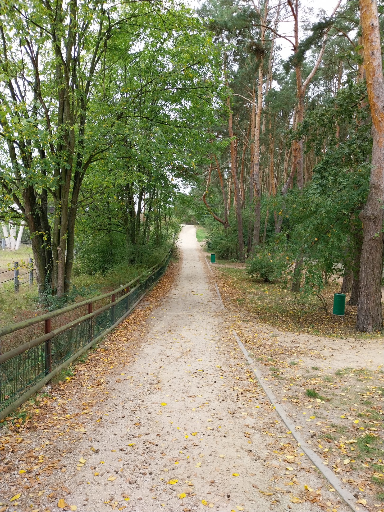 General view near Gemsbok enclosure