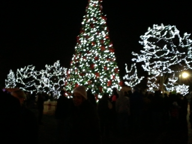 General View near the Entrance