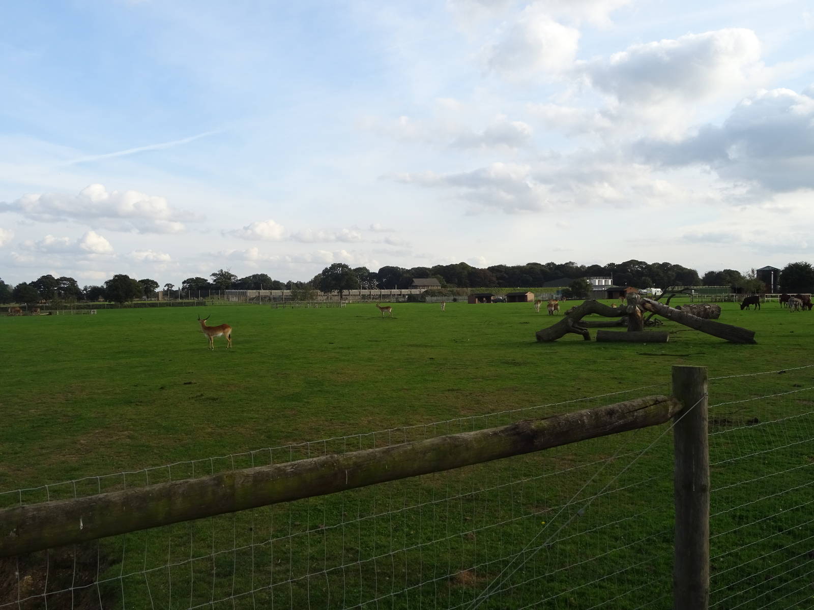 General View of African Plains at Yorkshire Wildlife Park