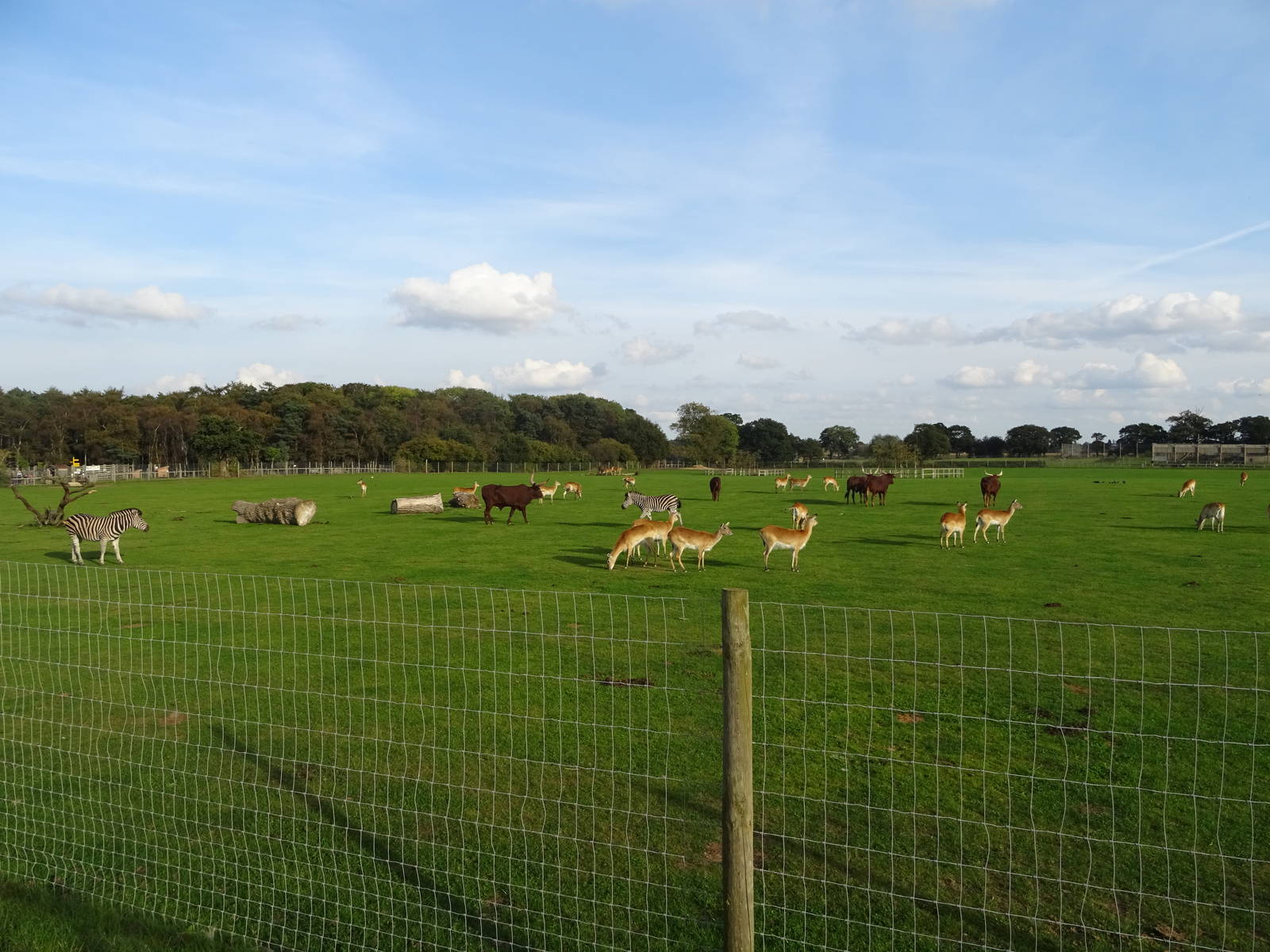 General View of African Plains at Yorkshire Wildlife Park