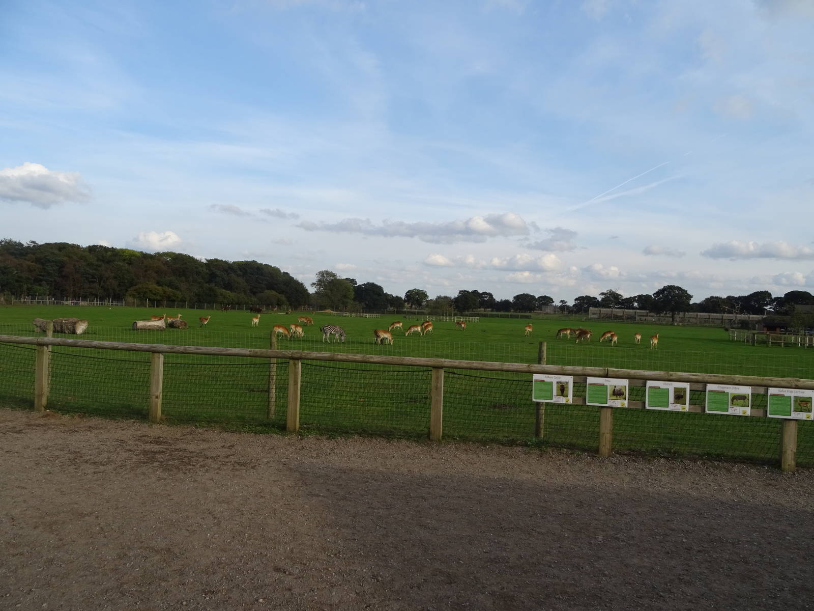 General View of African Plains at Yorkshire Wildlife Park