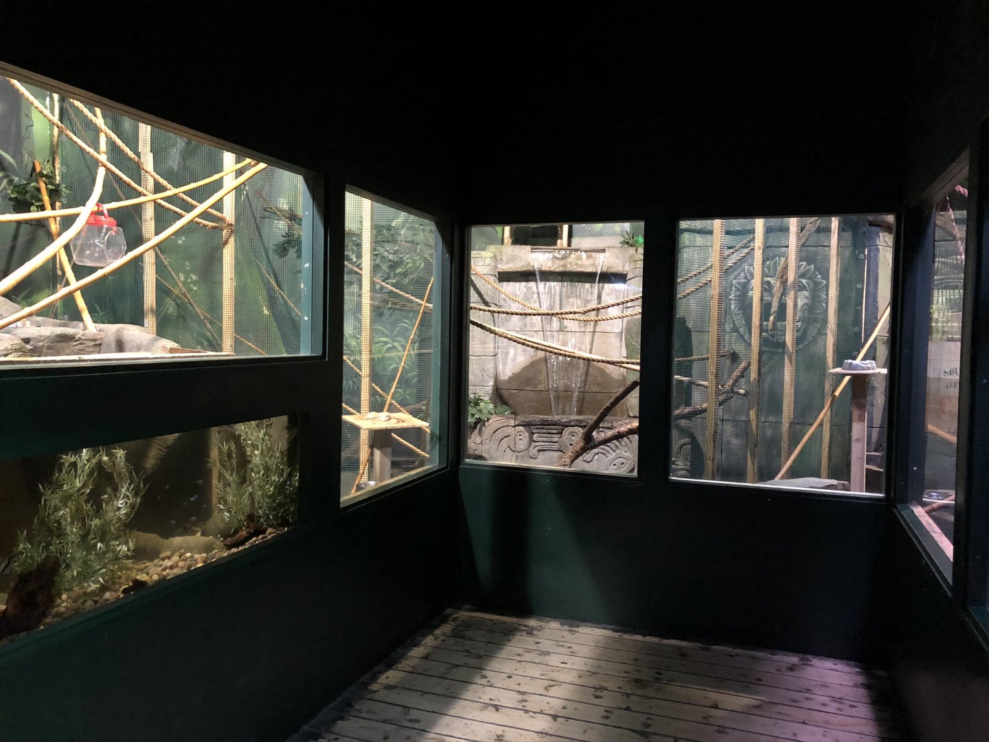 General View of Amazing Amazon at Tynemouth Aquarium (2019)