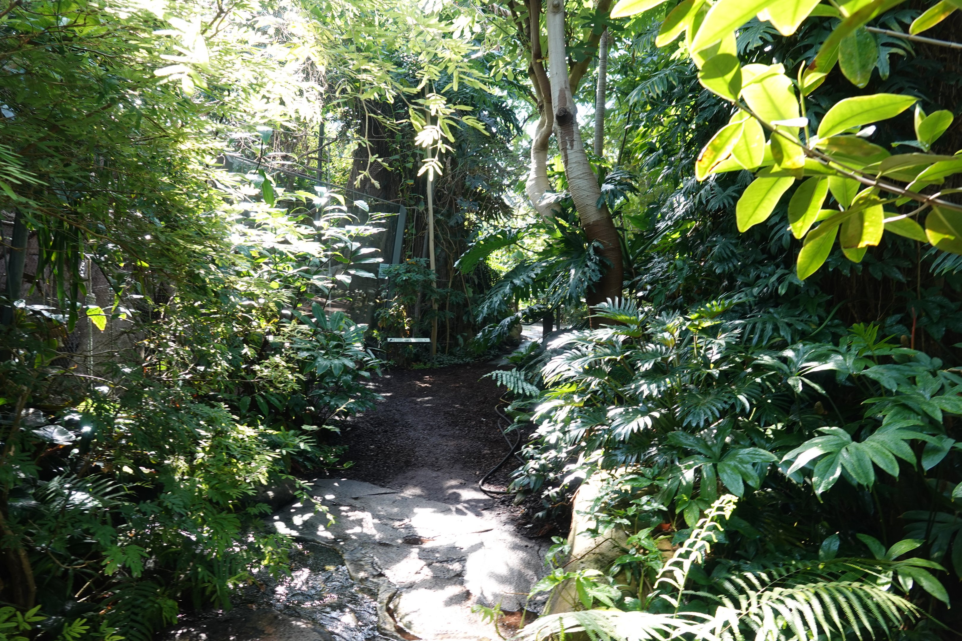 General view of Amazonienhouse