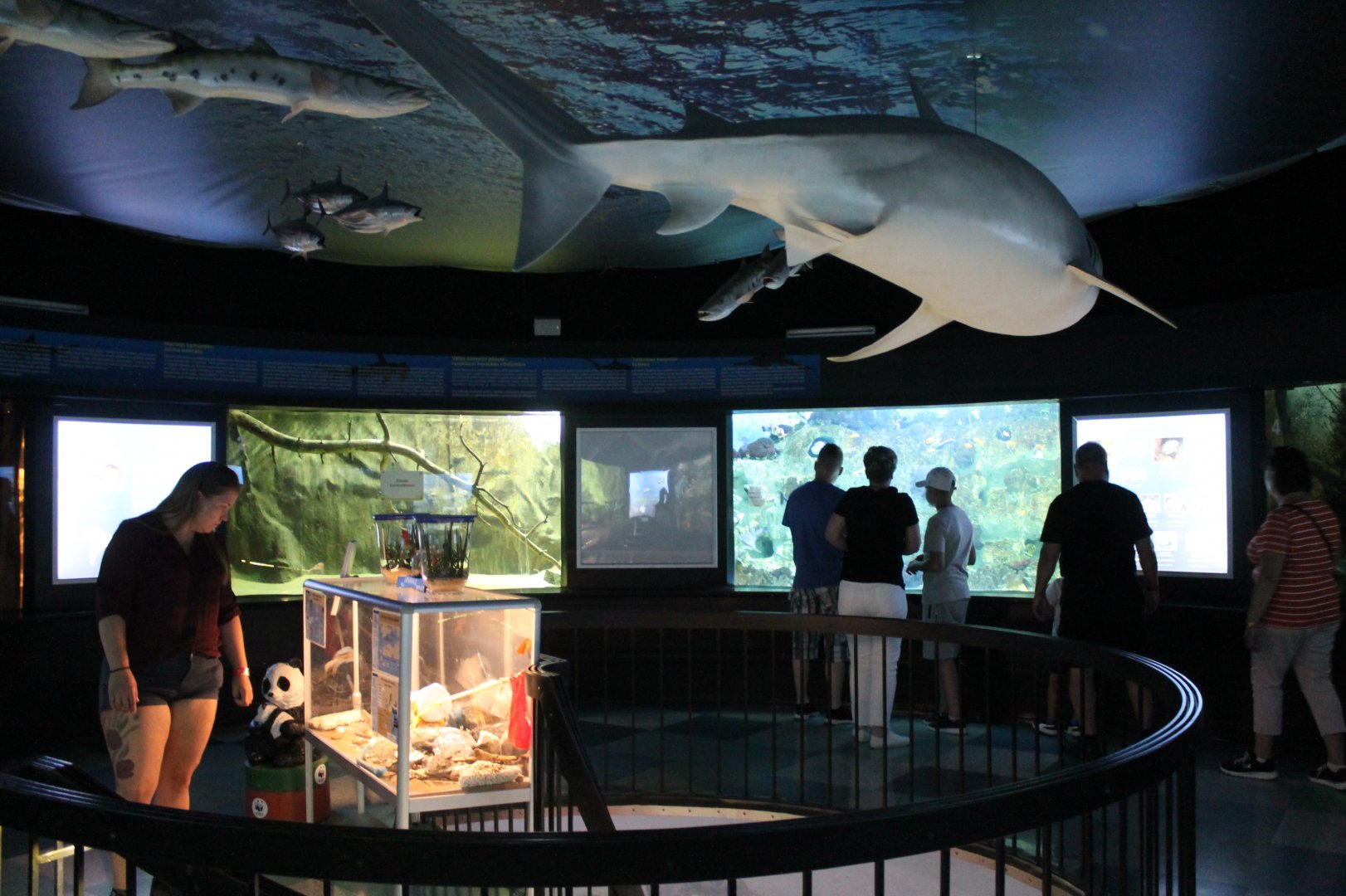 General View of Aquarium - First Room