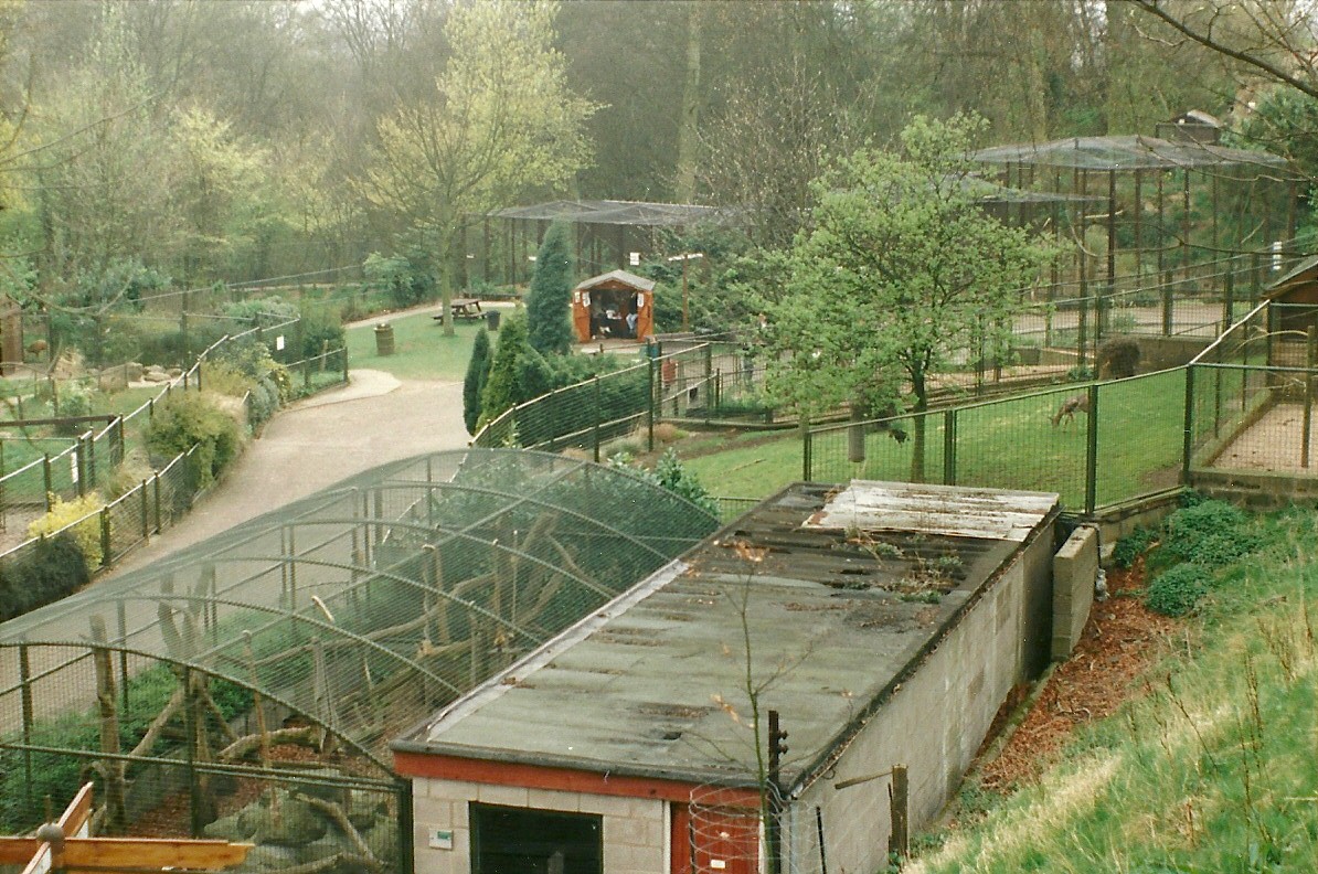 General view of area approaching Barbary Sheep 5th April 1997