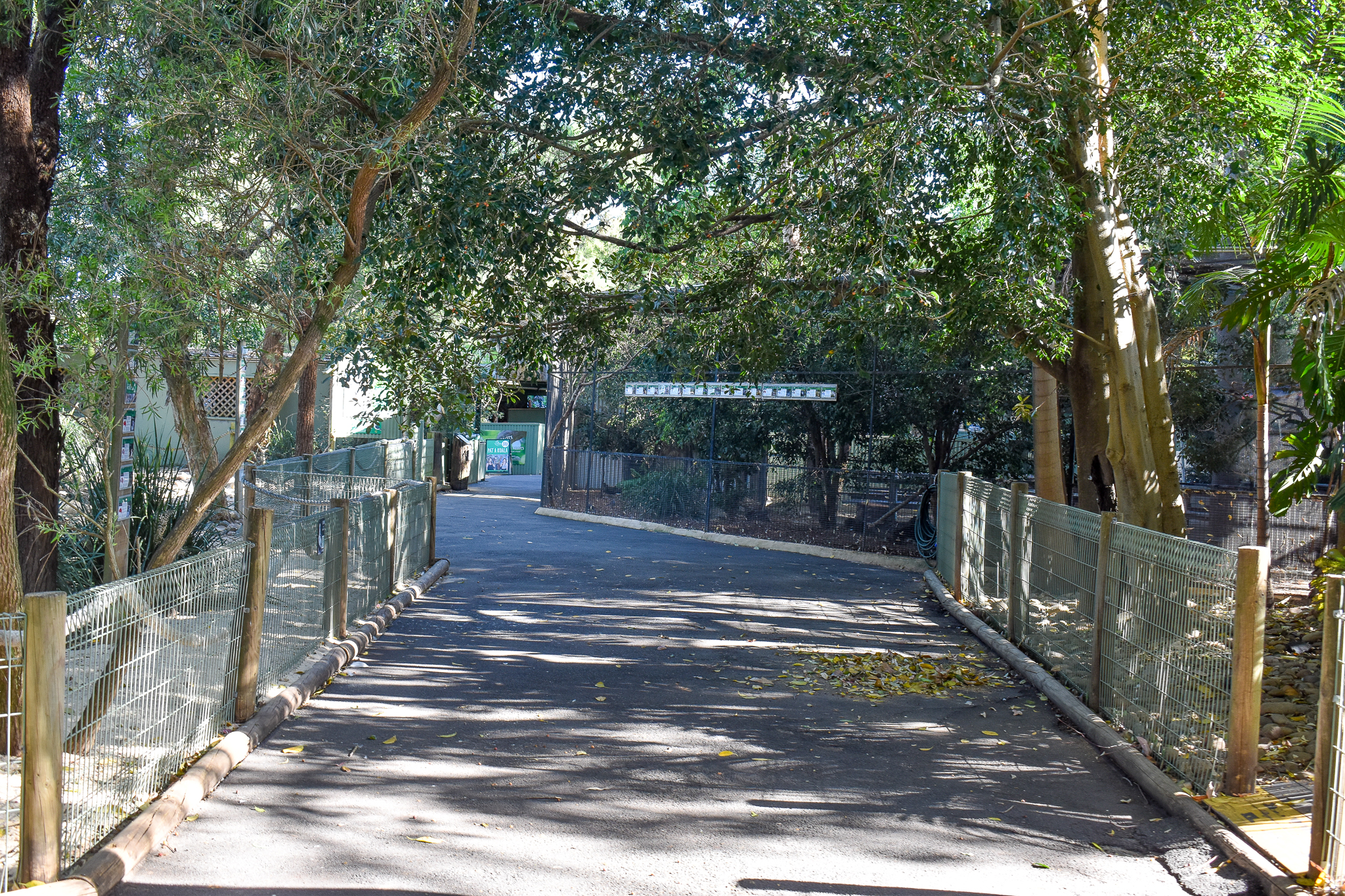 General View of Aviary