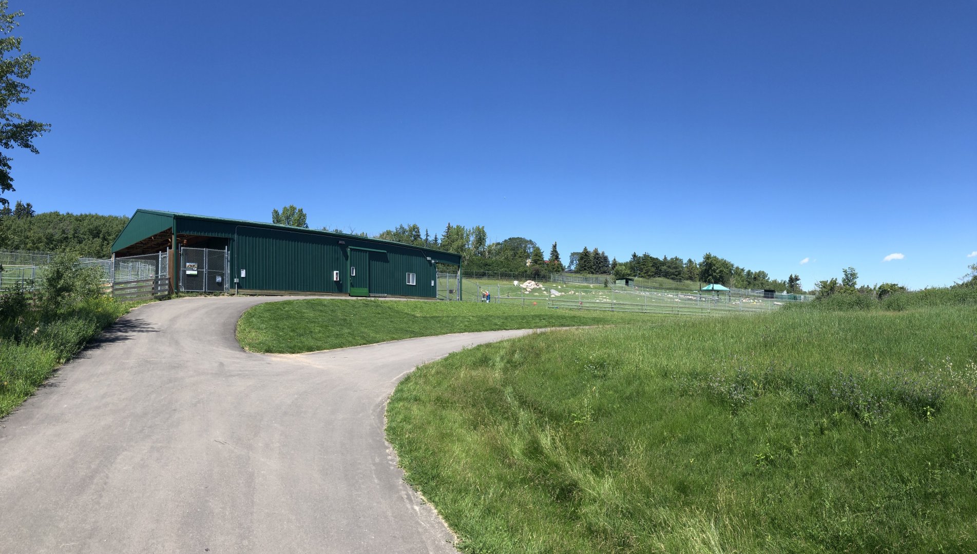 General View of Bactrian Camel and Sichuan Takin Enclosures at Edmonton Valley Zoo (July 2022)