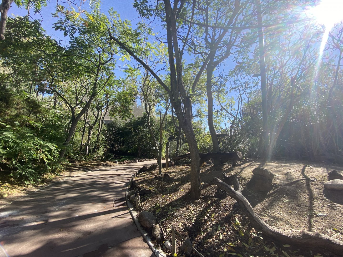 General view of Bosque Africano walkthrough 2