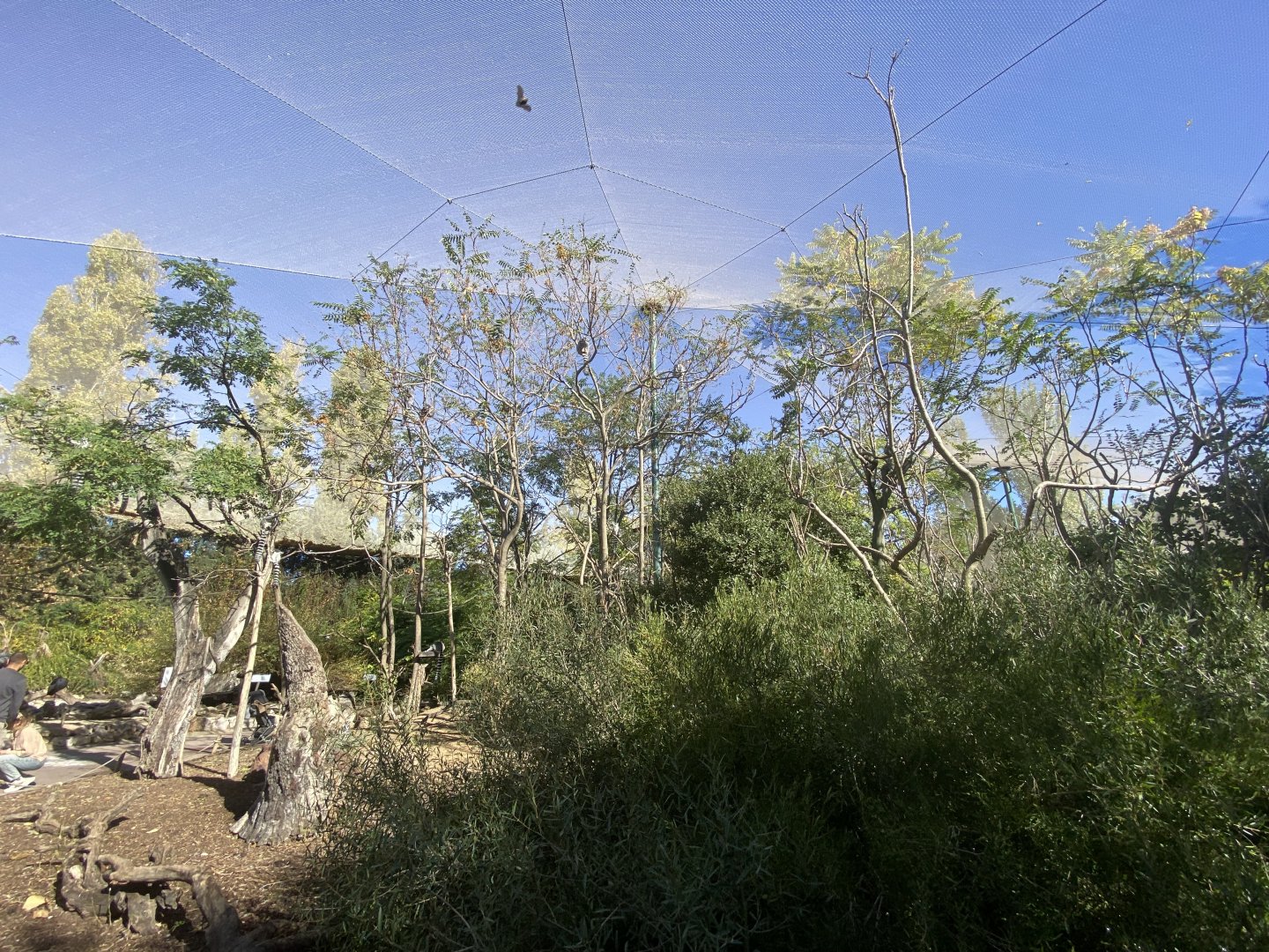 General view of Bosque Africano walkthrough