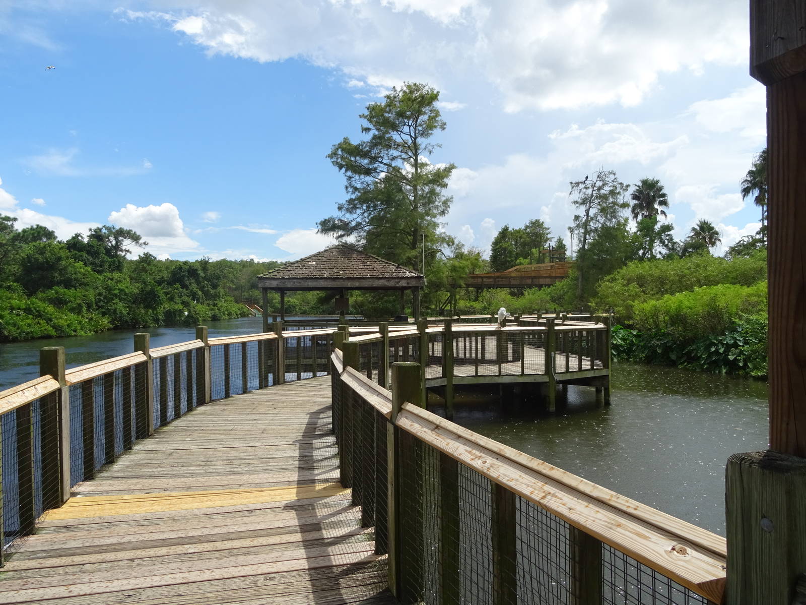 General View of Breeding Marsh at Gatorland