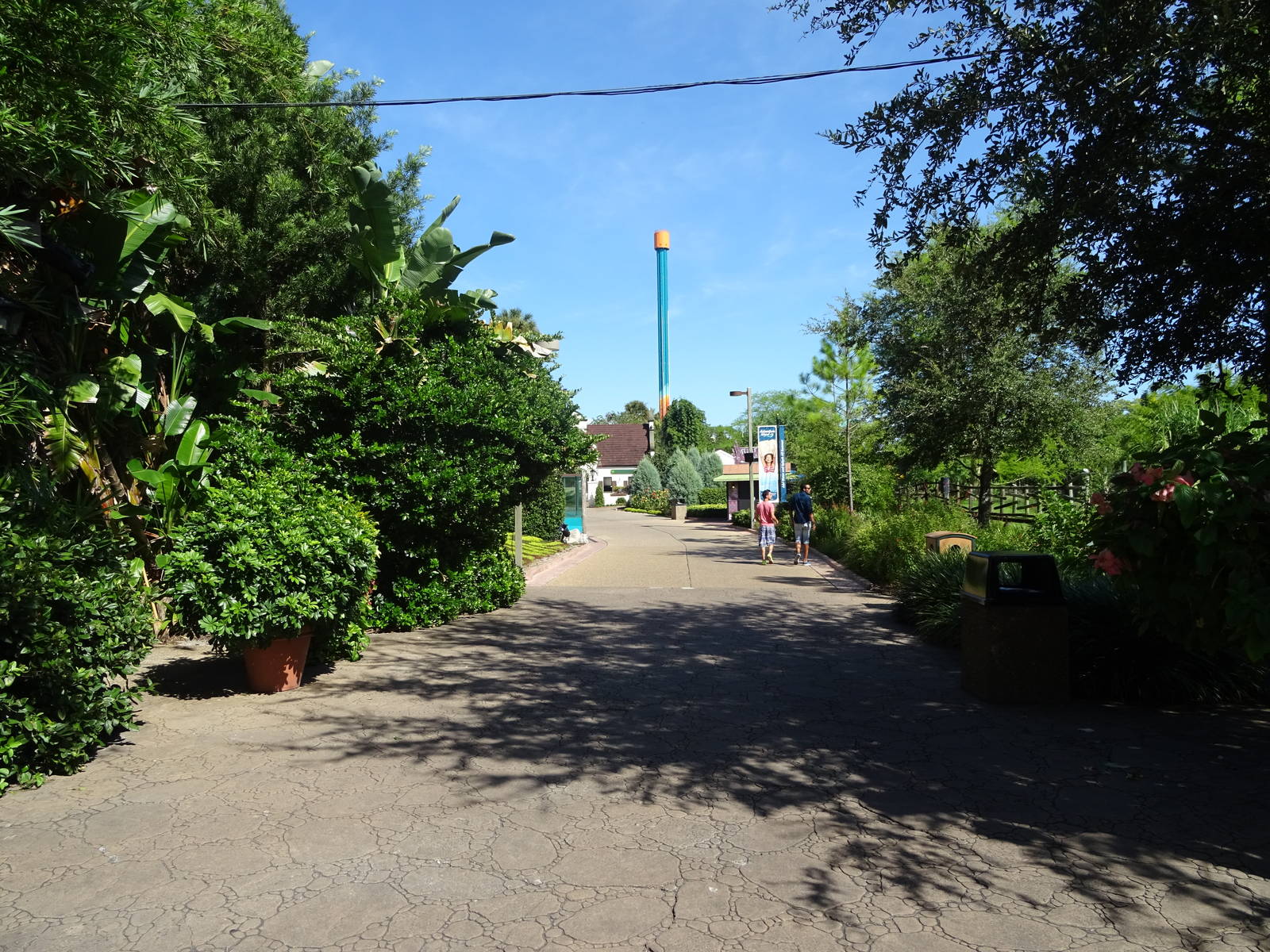General View of Busch Gardens Tampa