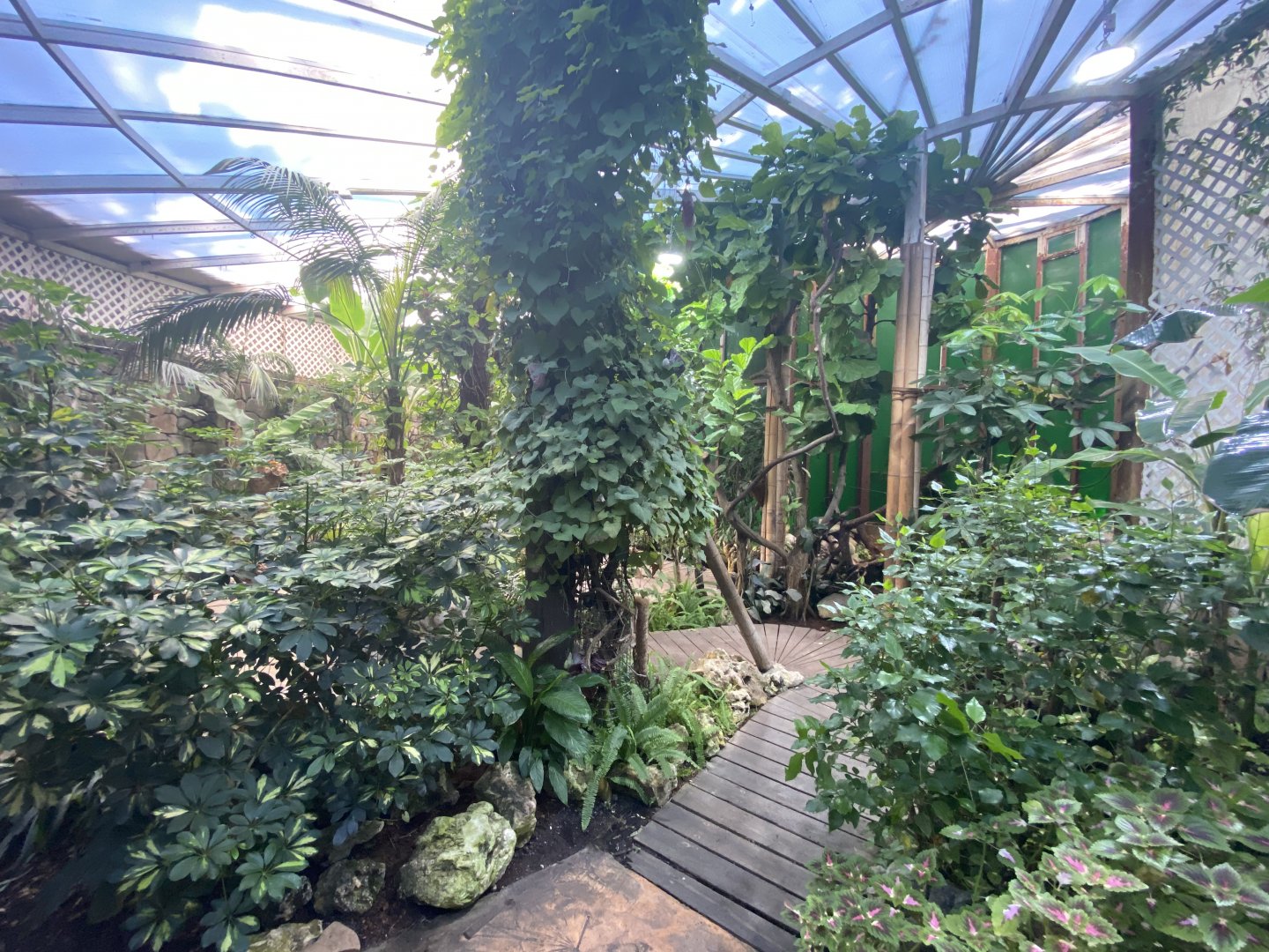 General view of butterfly house 2