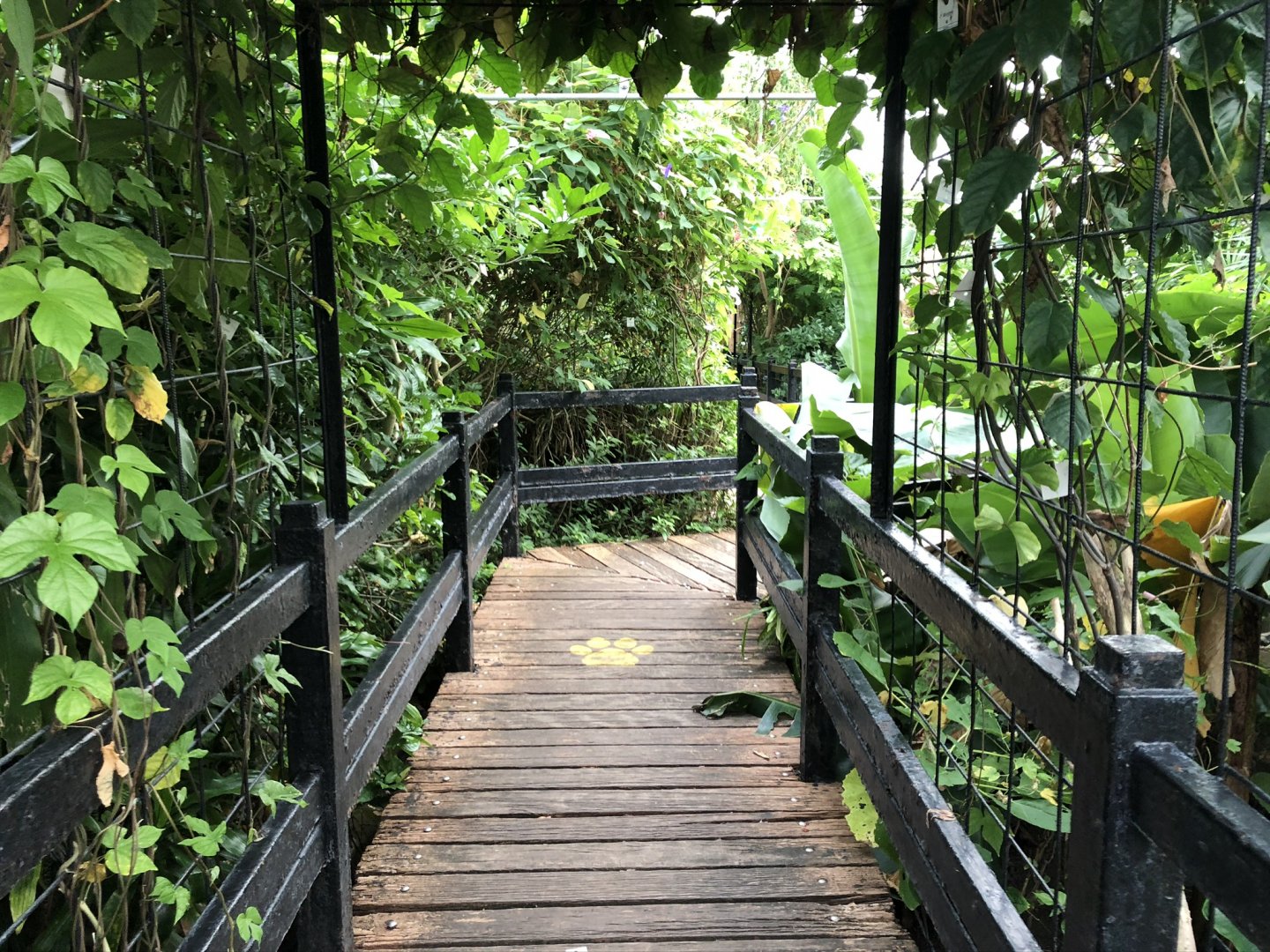 General View of Butterfly House at Tropical World (July 2020)