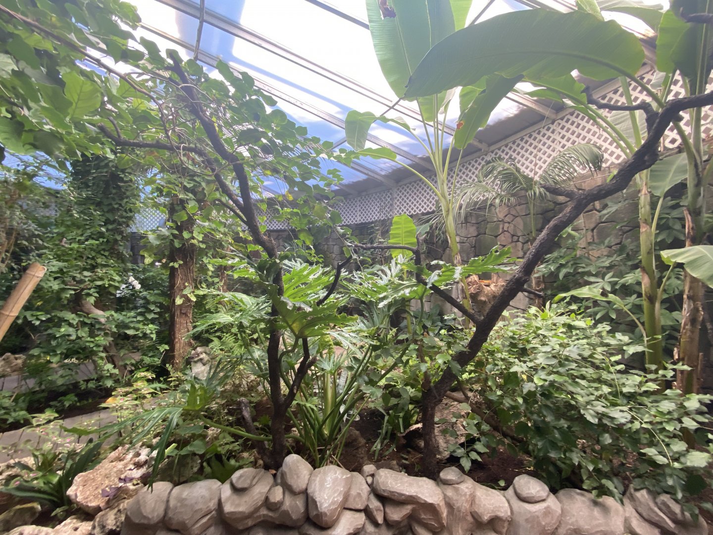 General view of butterfly walkthrough