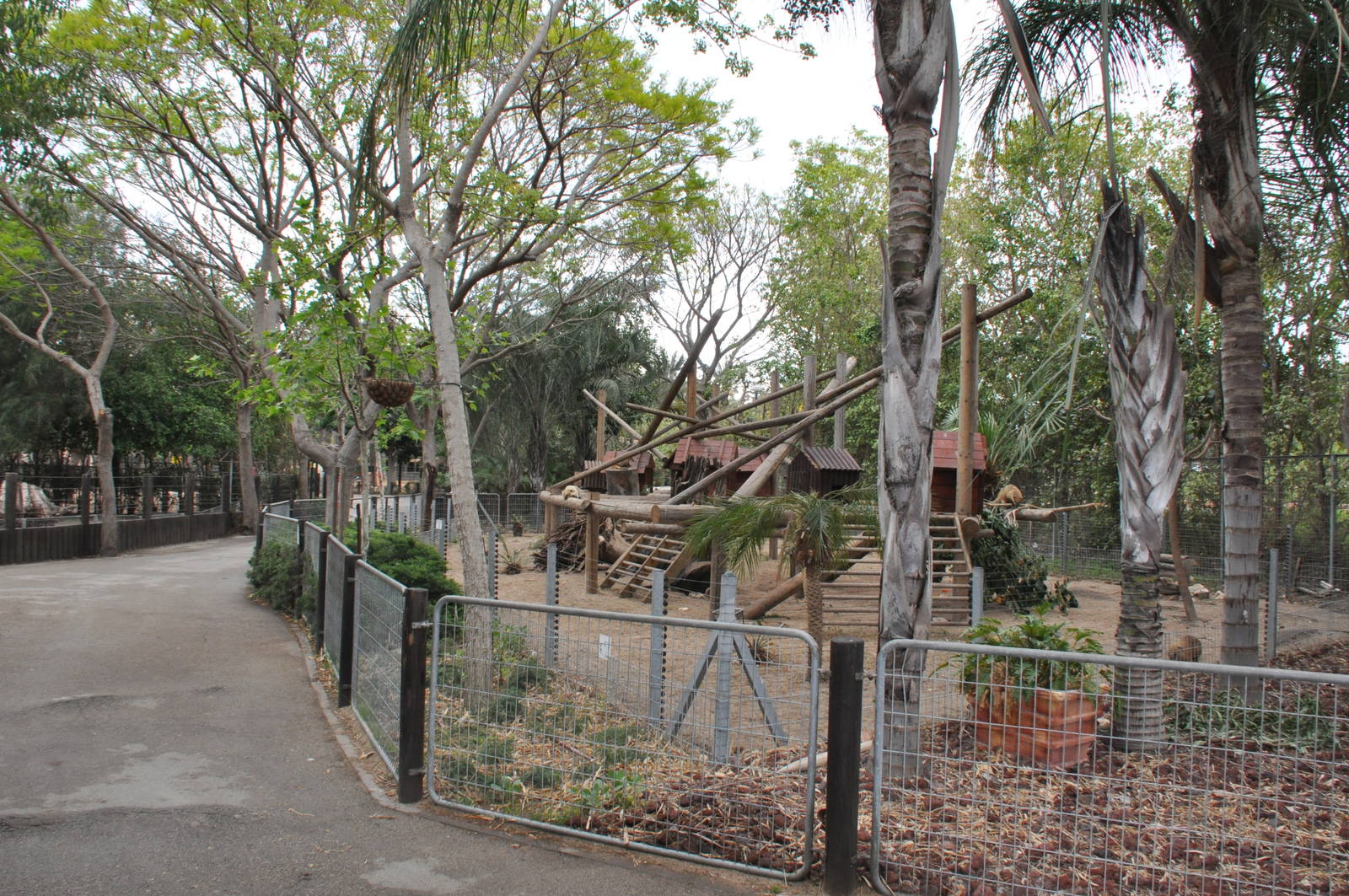 General view of coatis enclosure