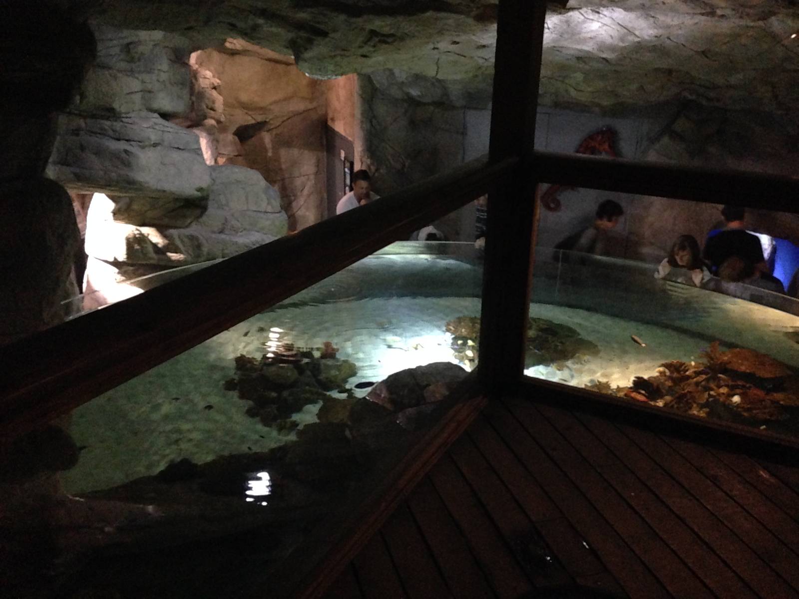 General View of Coral Cave at Blue Planet Aquarium - 05/10/2013