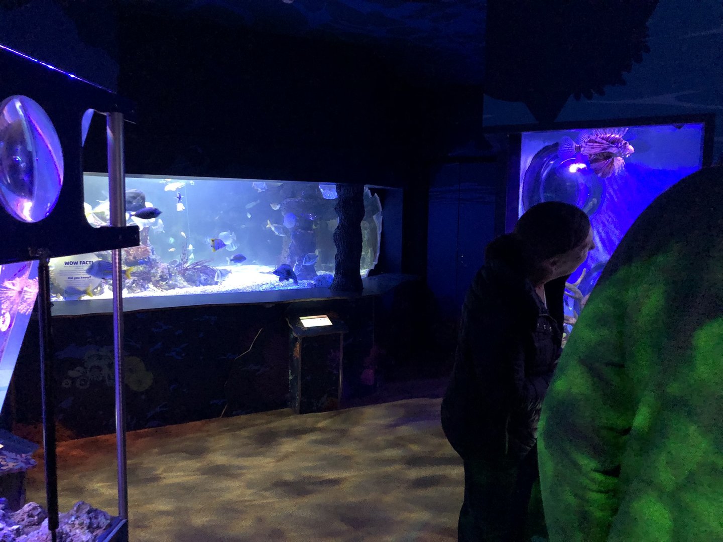 General View of Coral Cove at SEA LIFE Scarborough (September 2022)